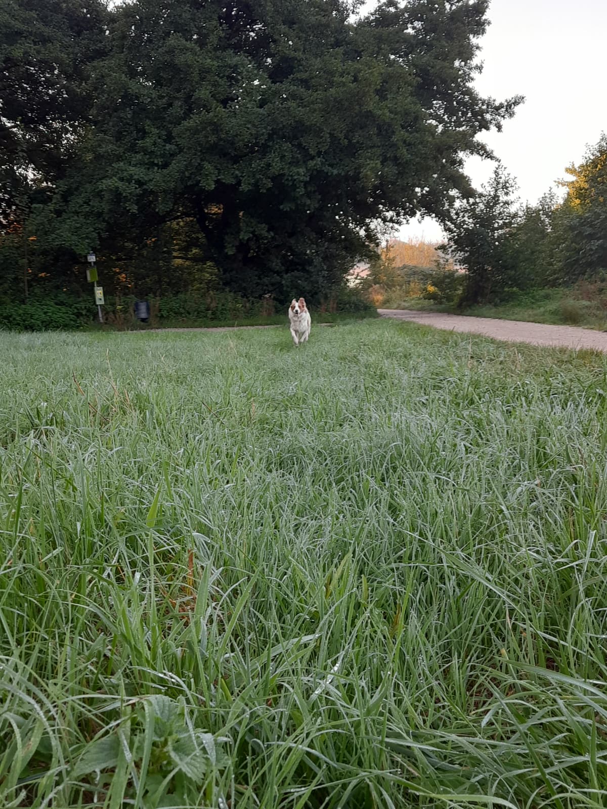 image-9