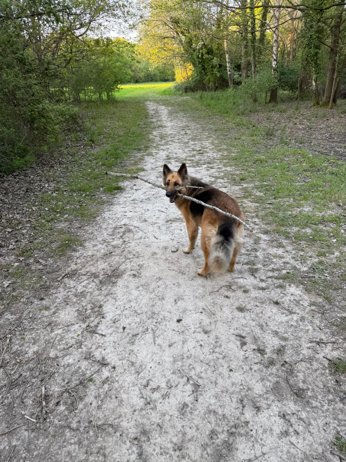 image-13