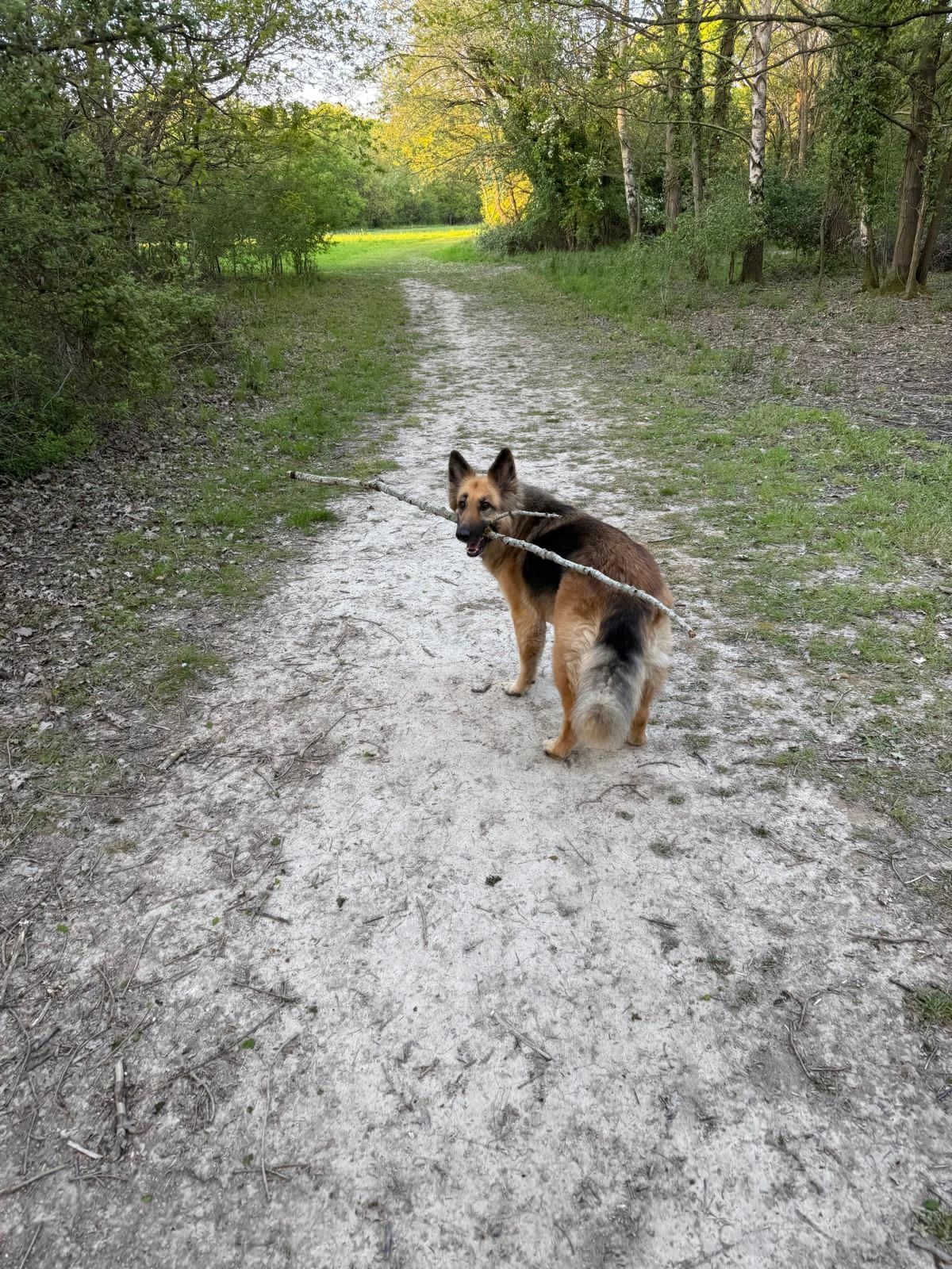 image-13