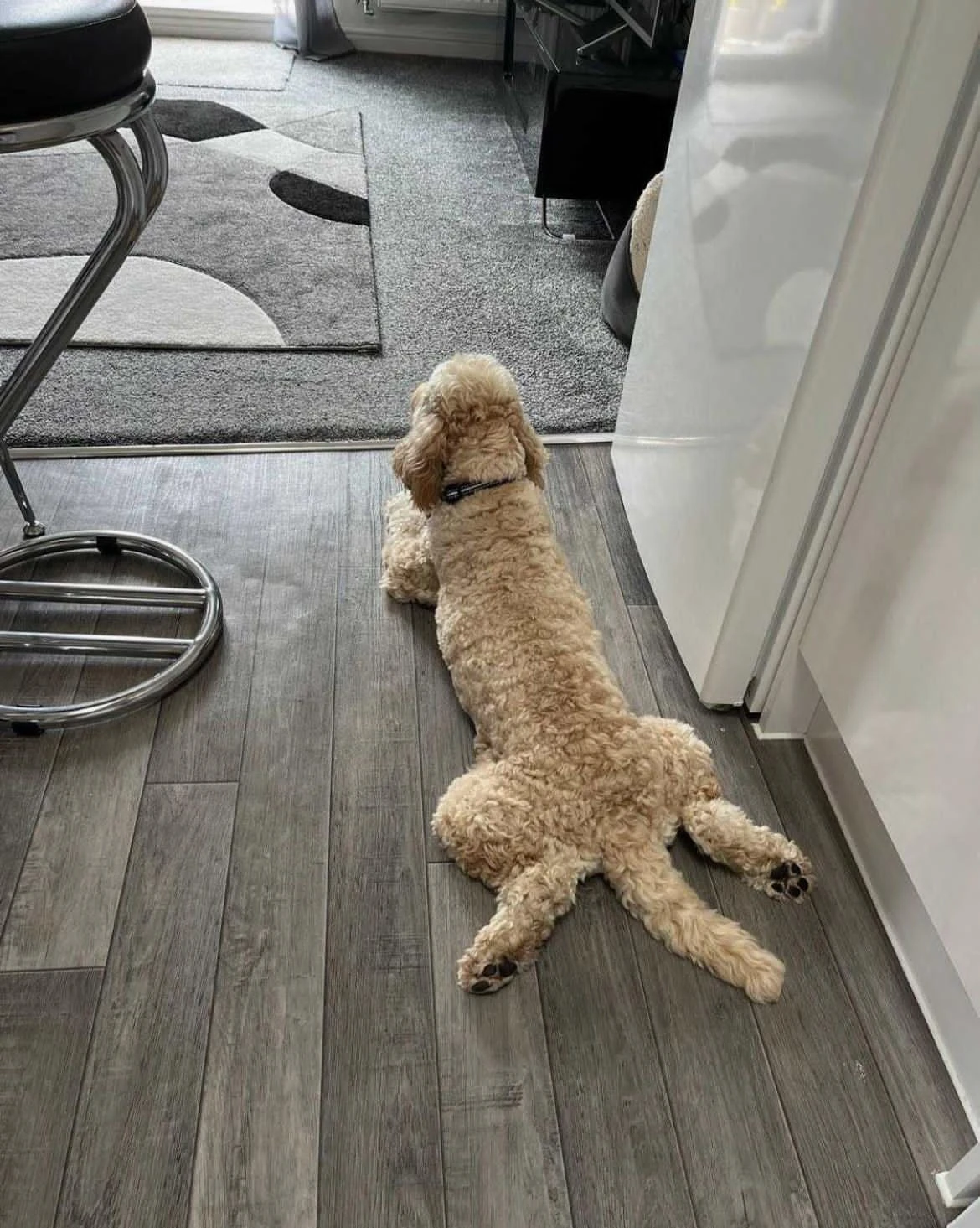 image-18