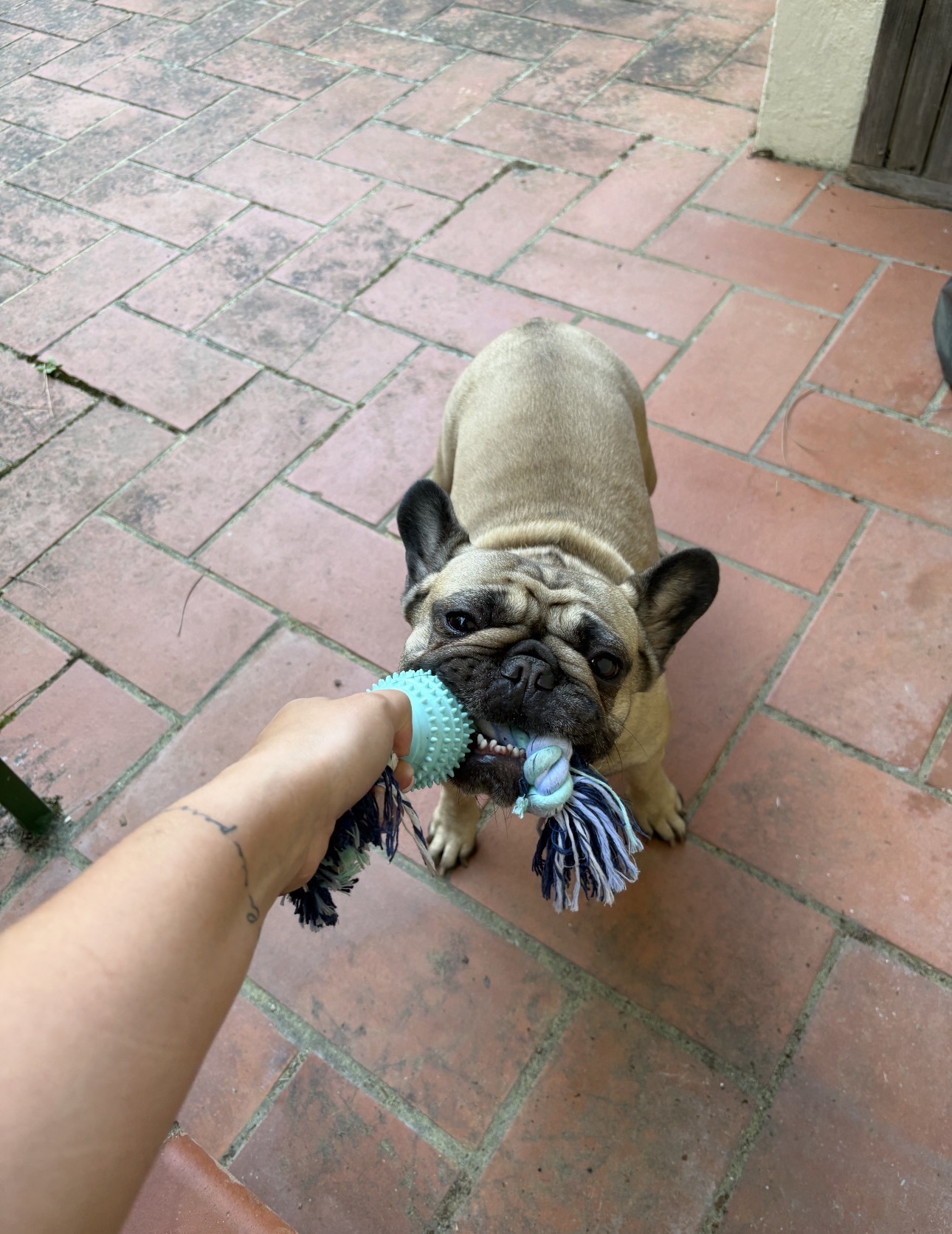 image-6