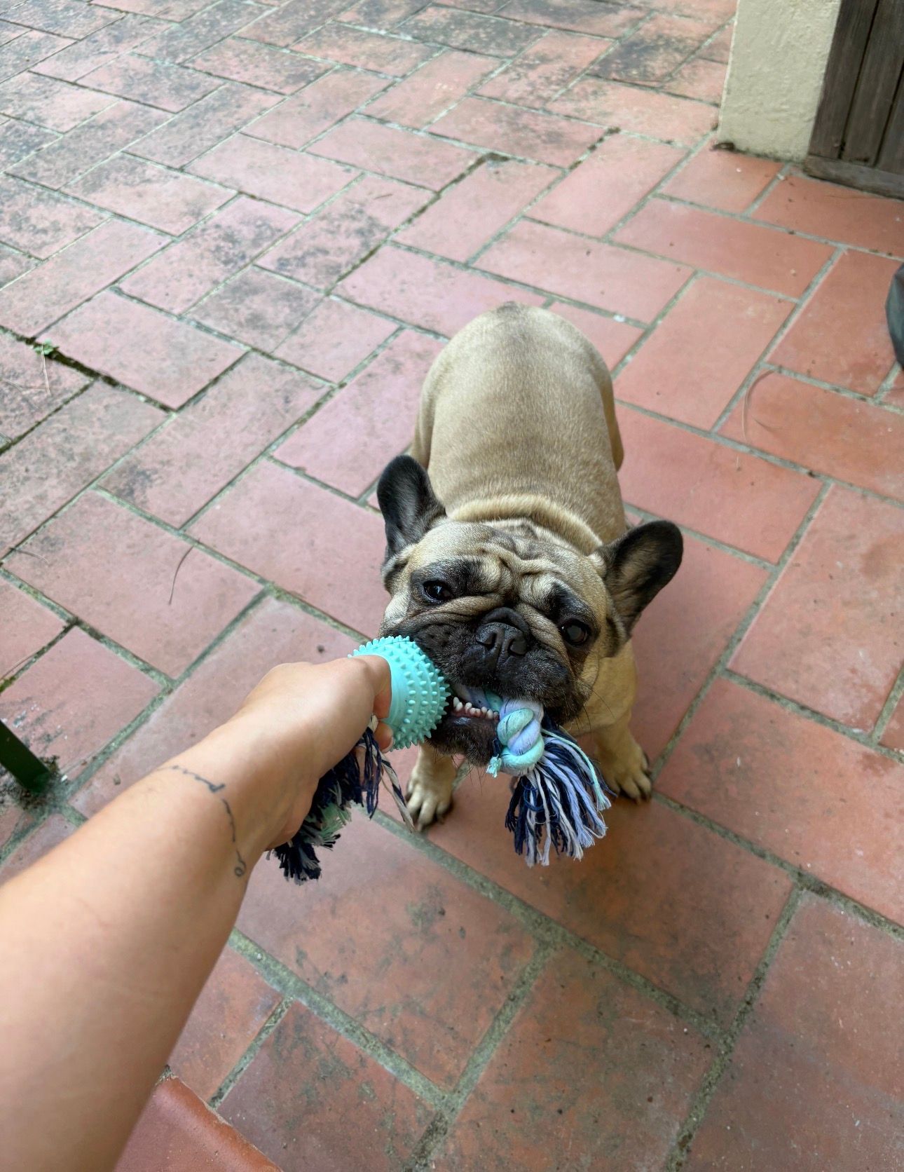 image-6