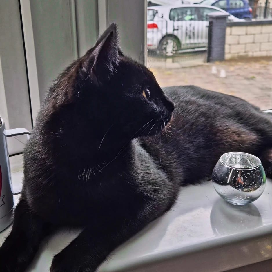 Salem