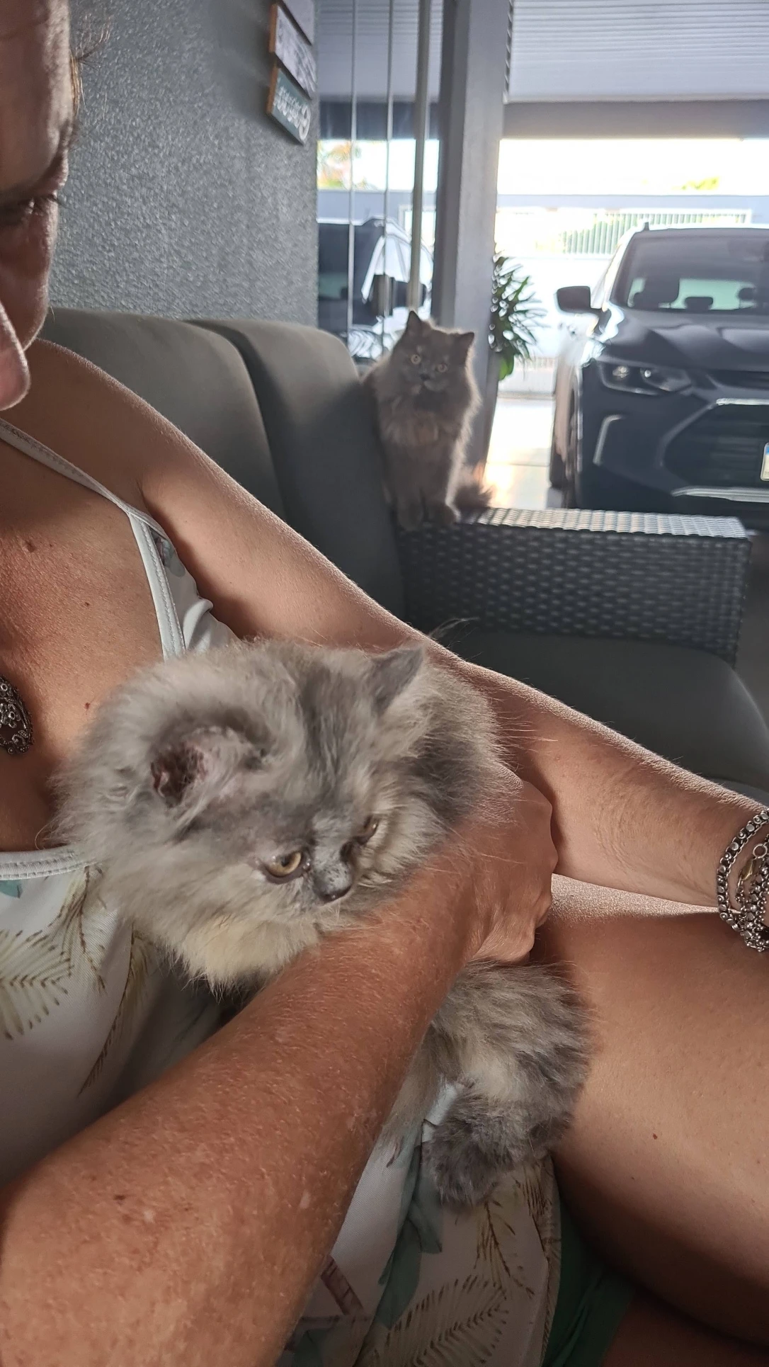 image-25