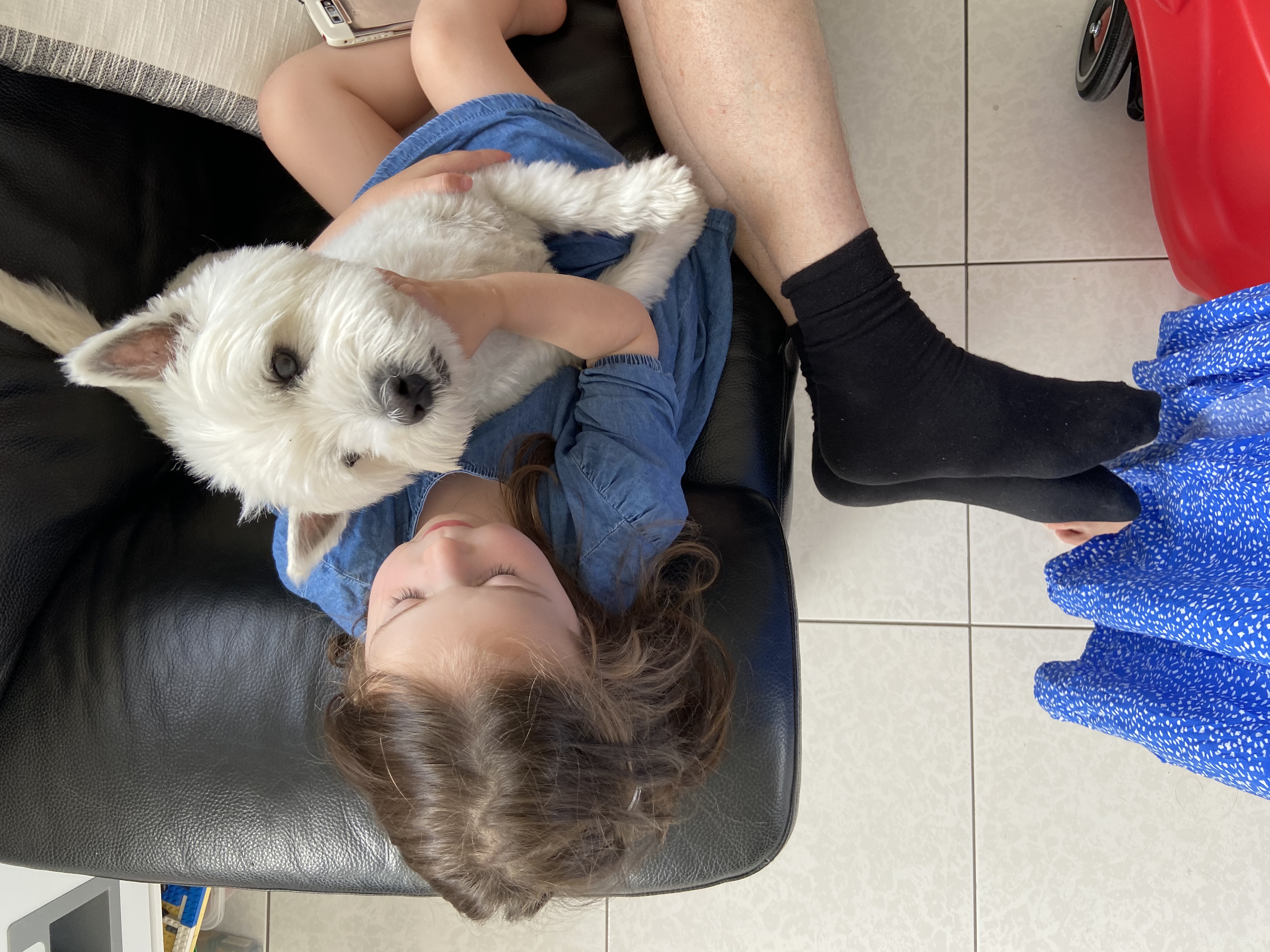 image-8