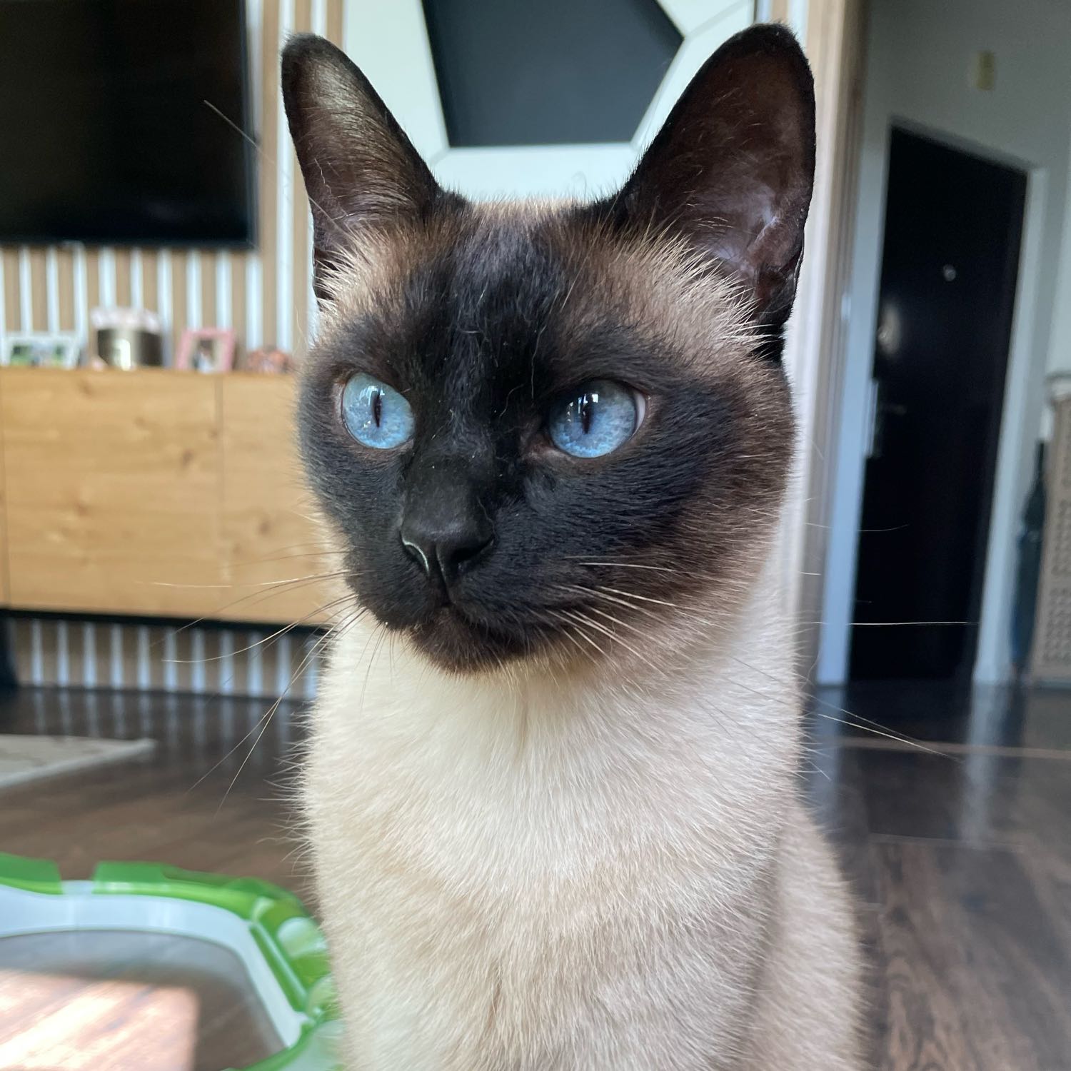 Paul