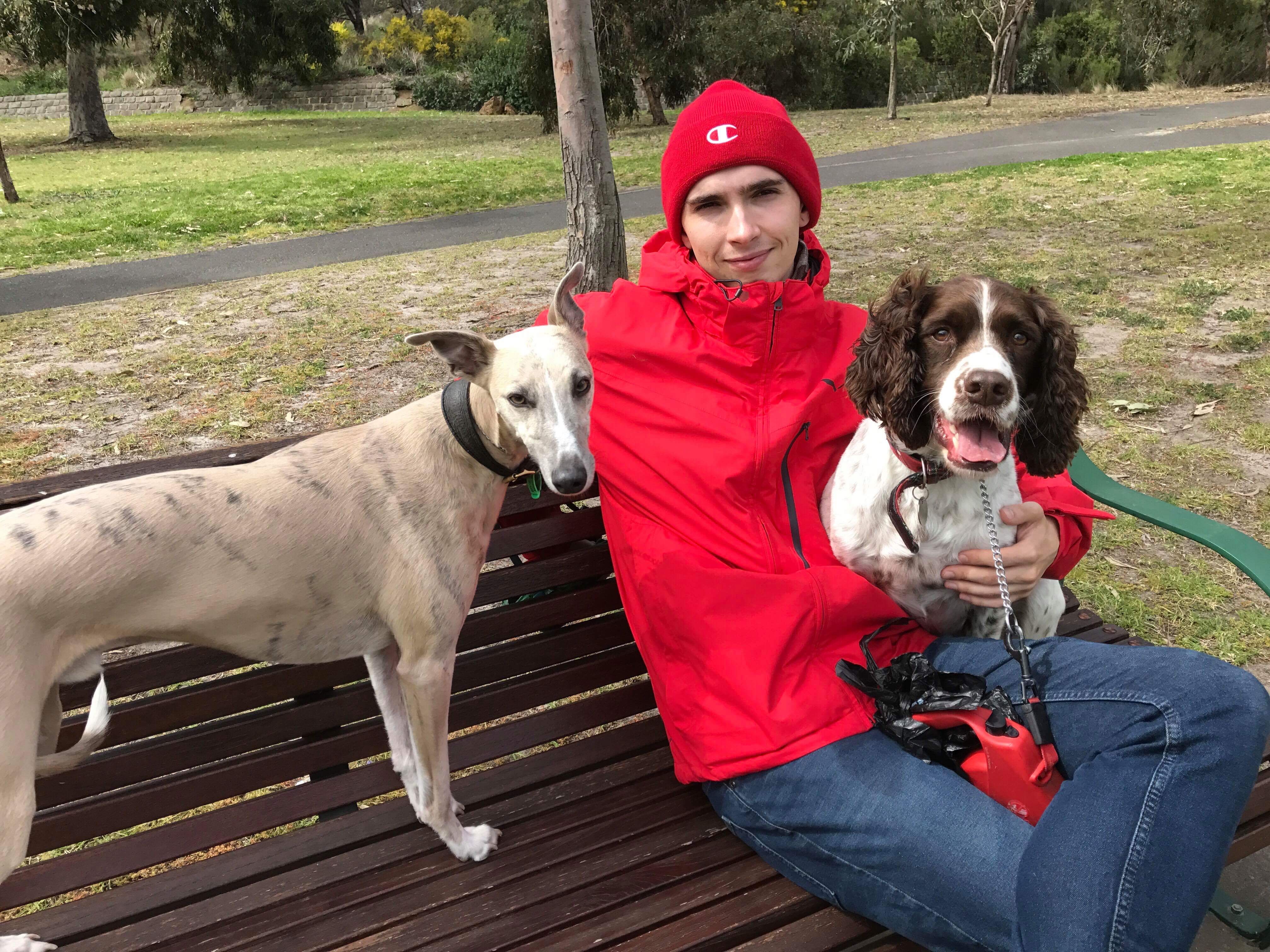 image-3