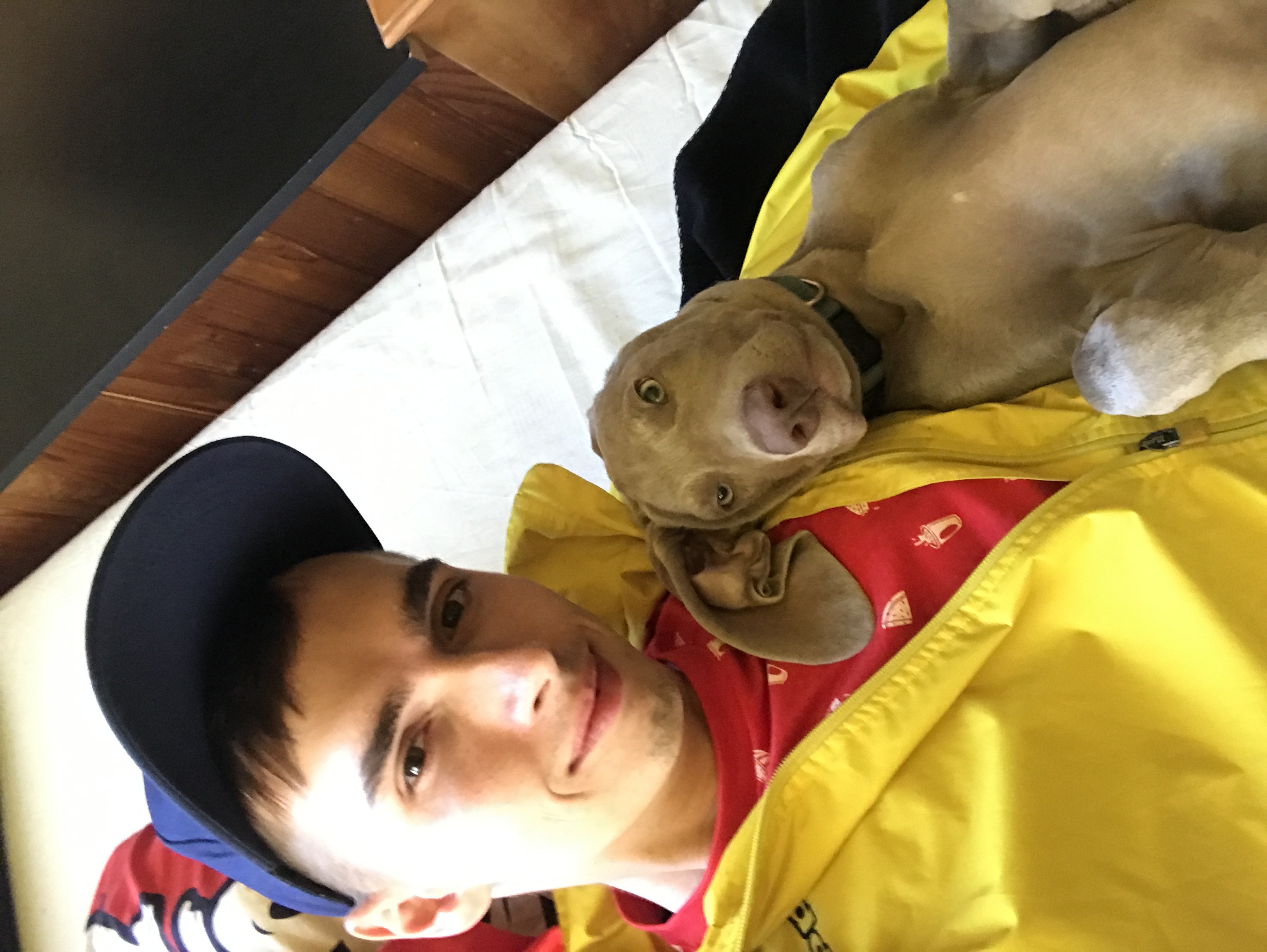 image-7
