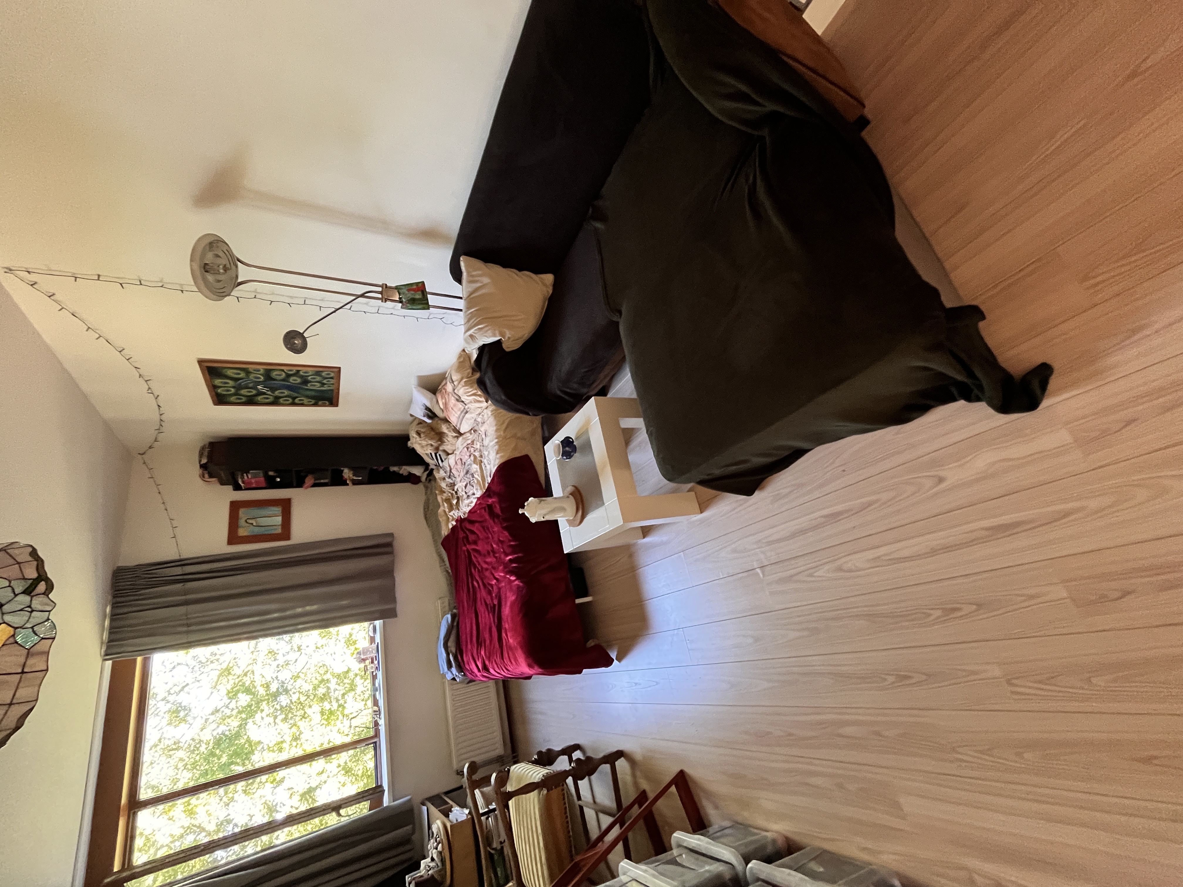 image-19