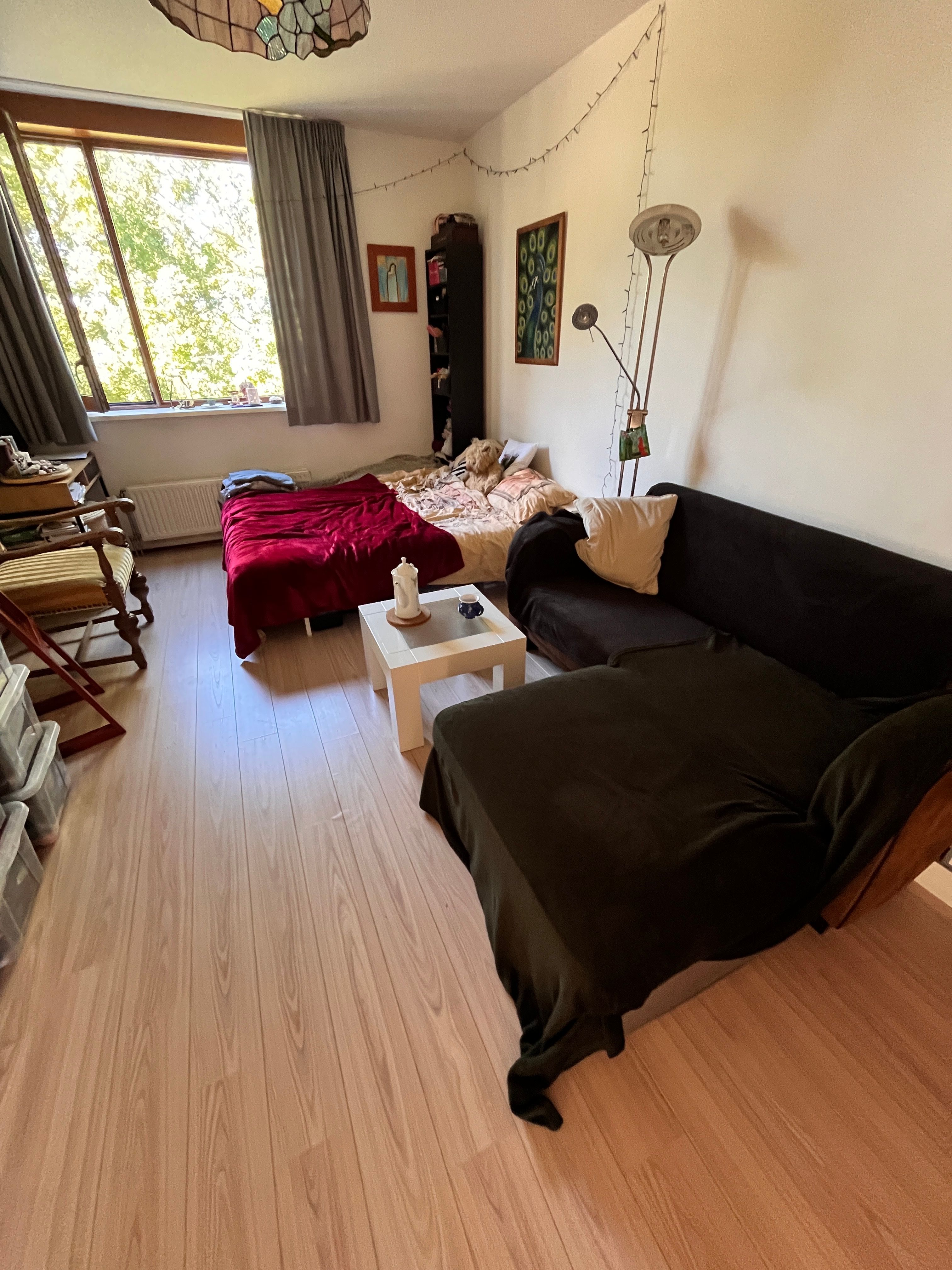 image-19