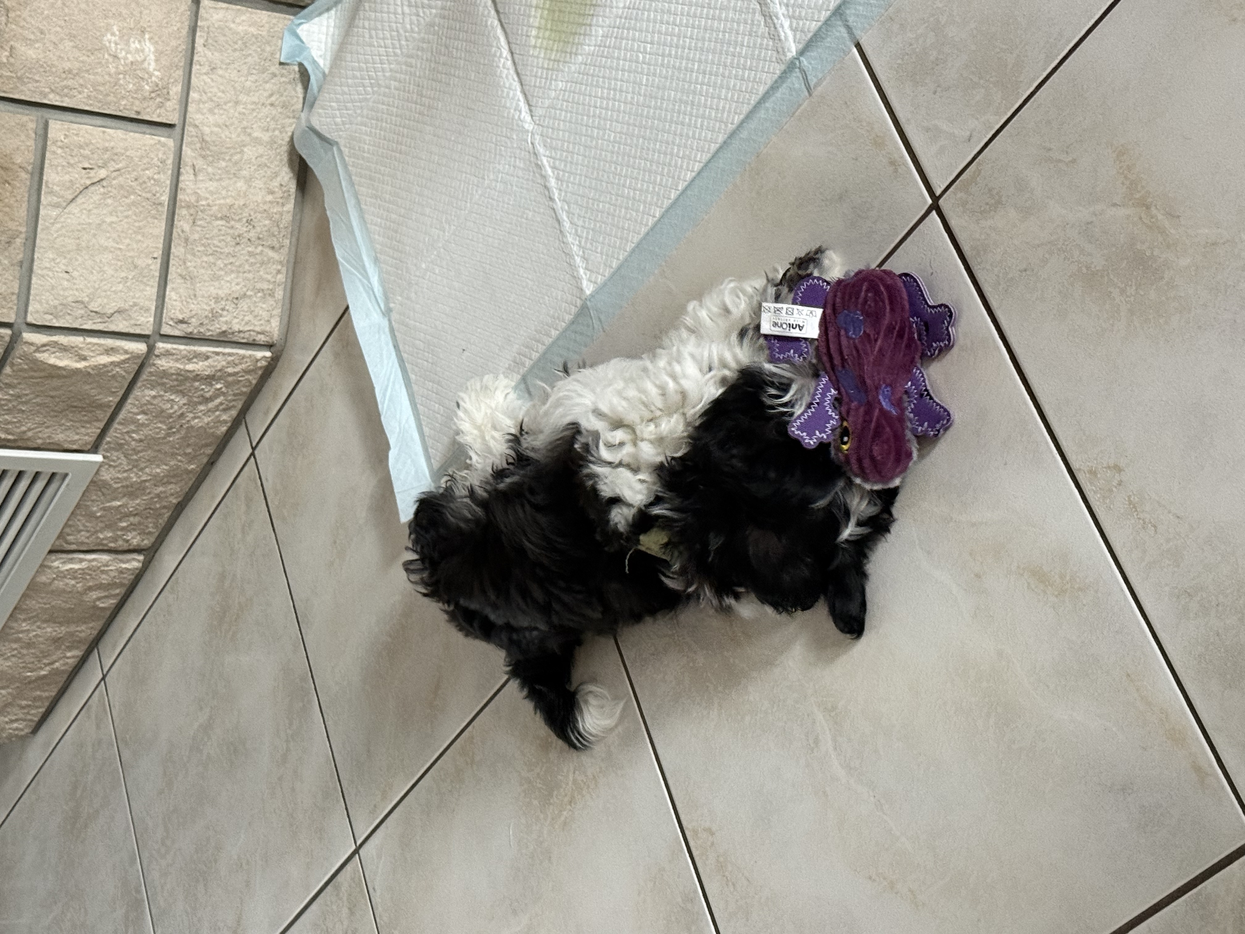 image-6