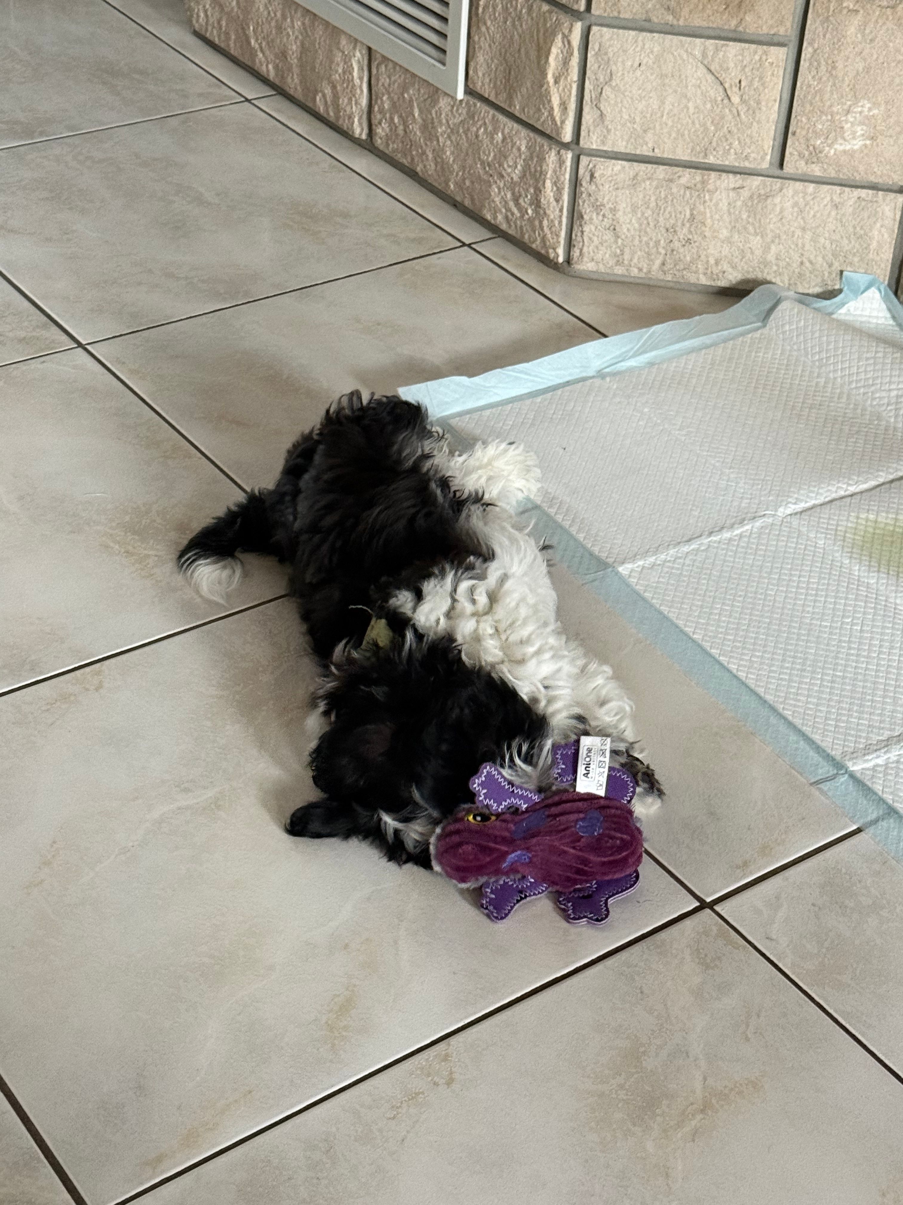 image-6