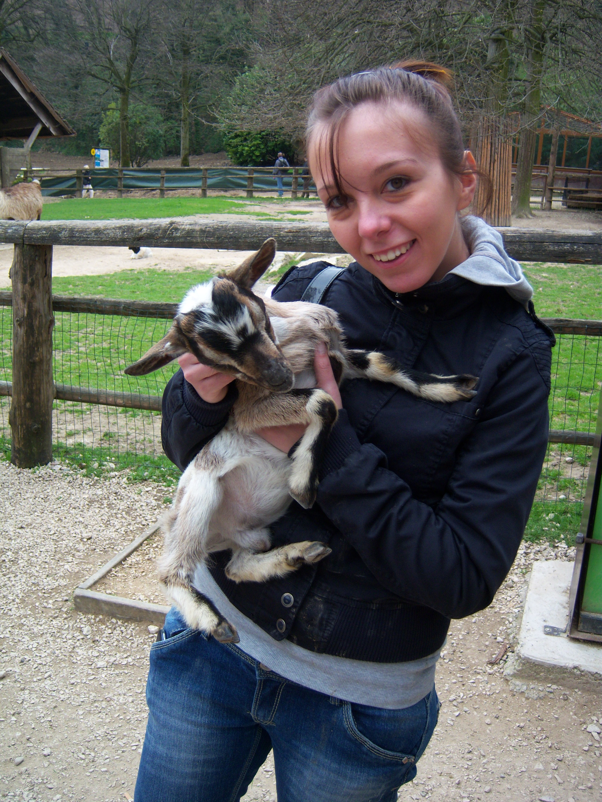image-8