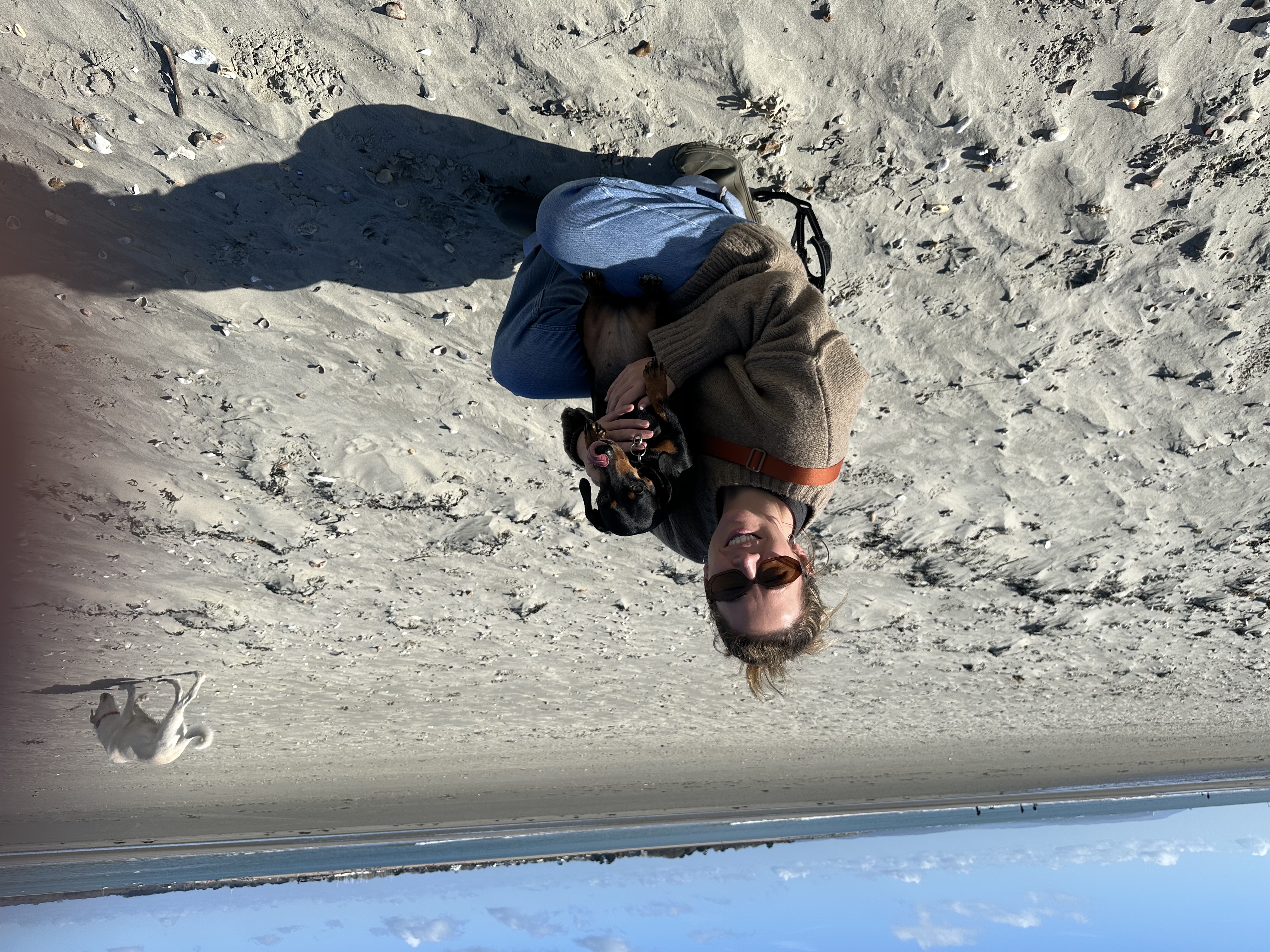 image-11