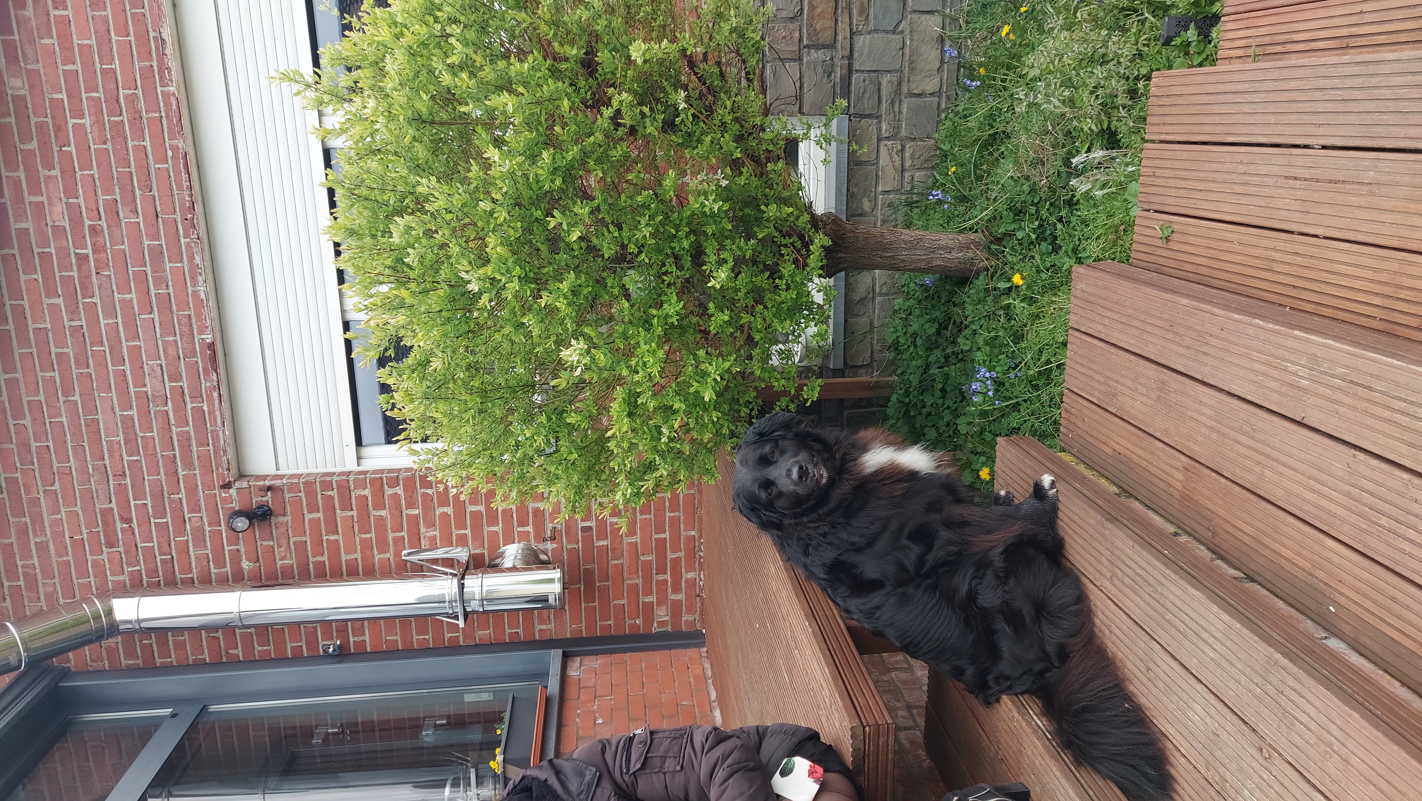 image-8