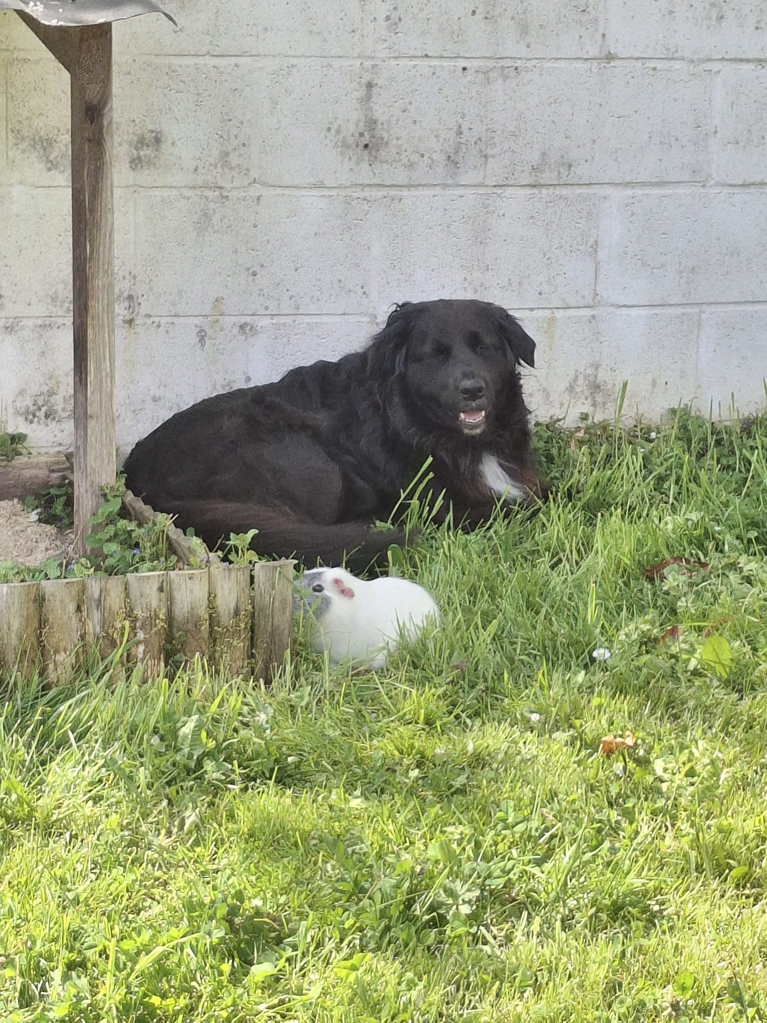 image-10