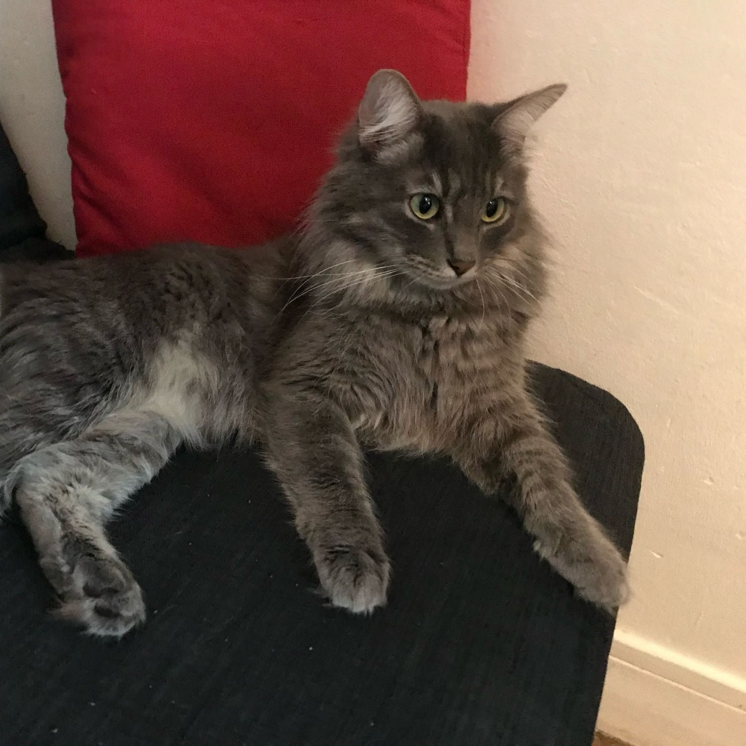 Pablo