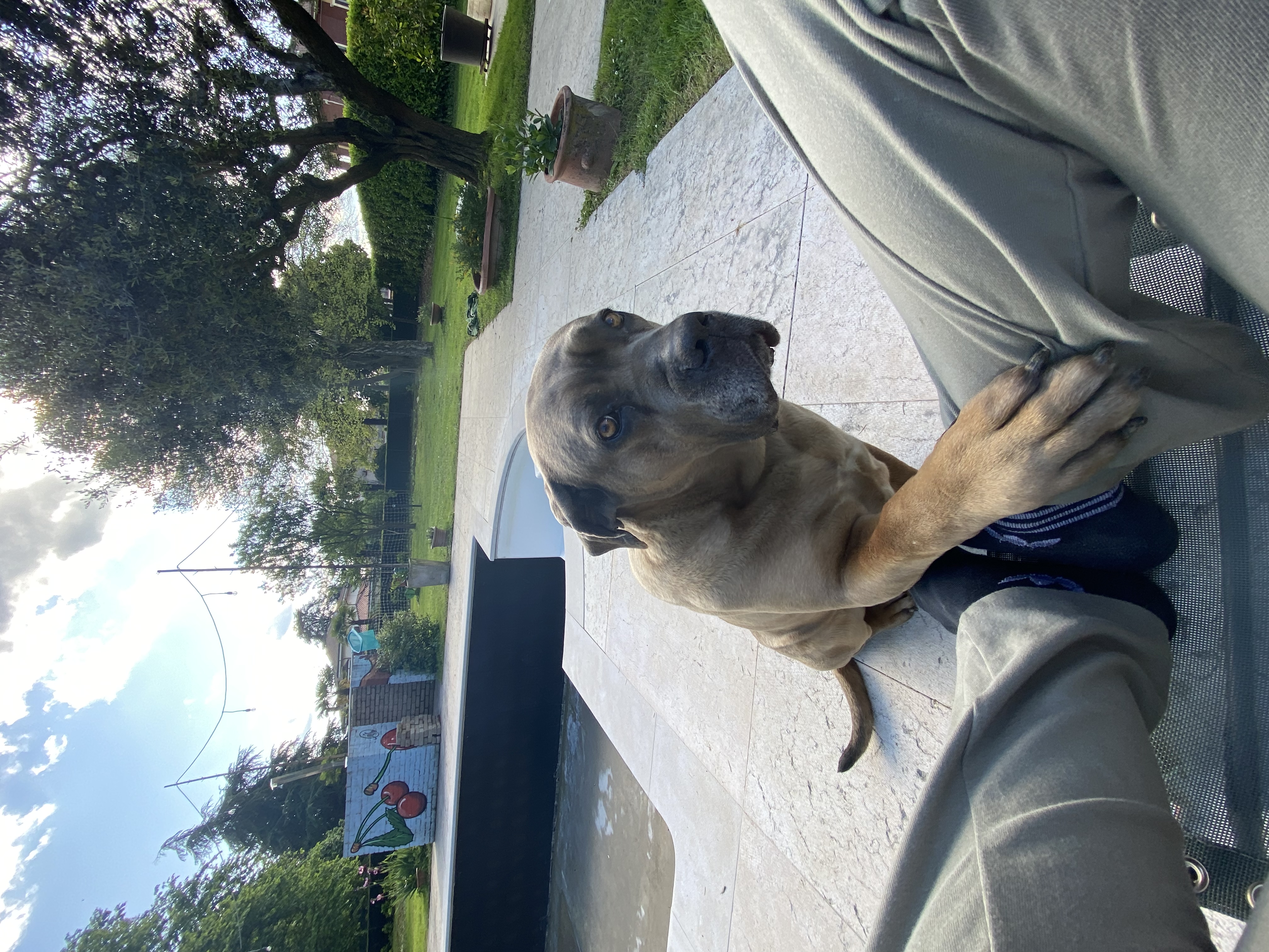 image-7