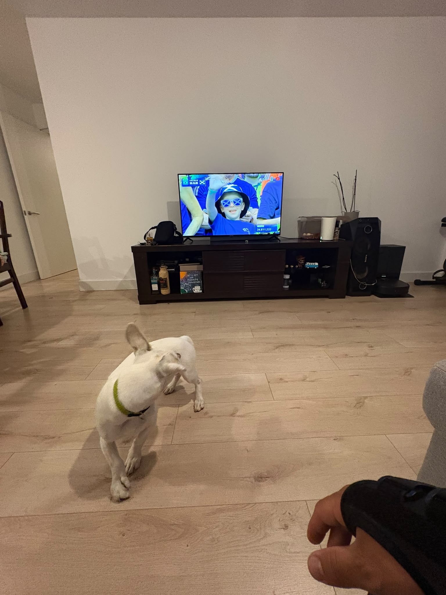 image-8