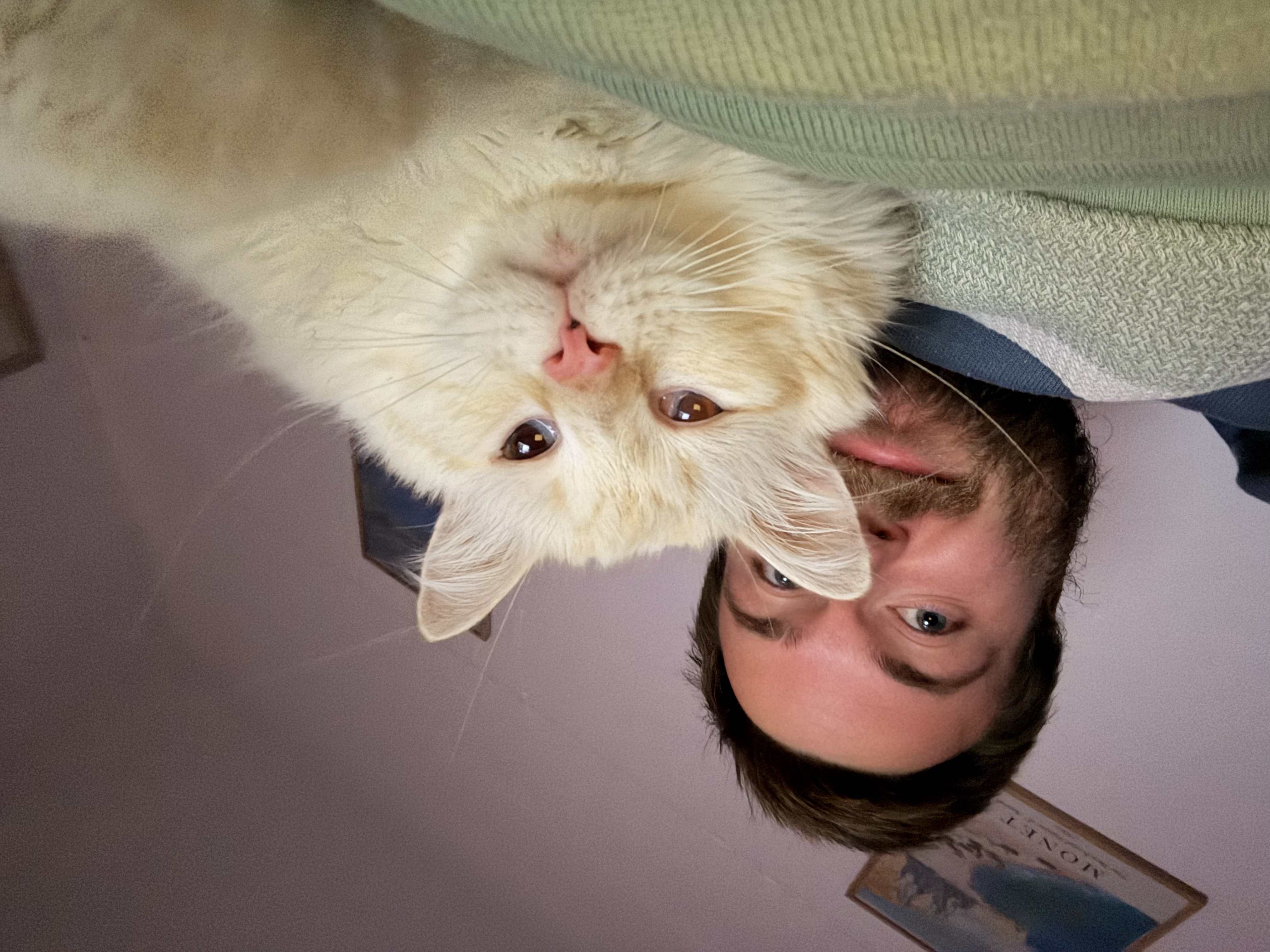 image-8