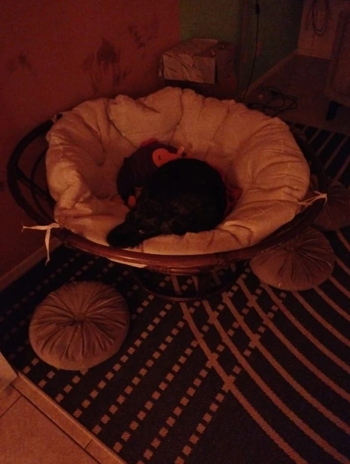 image-13