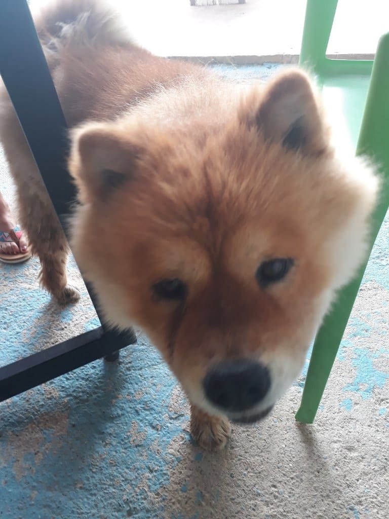 image-6
