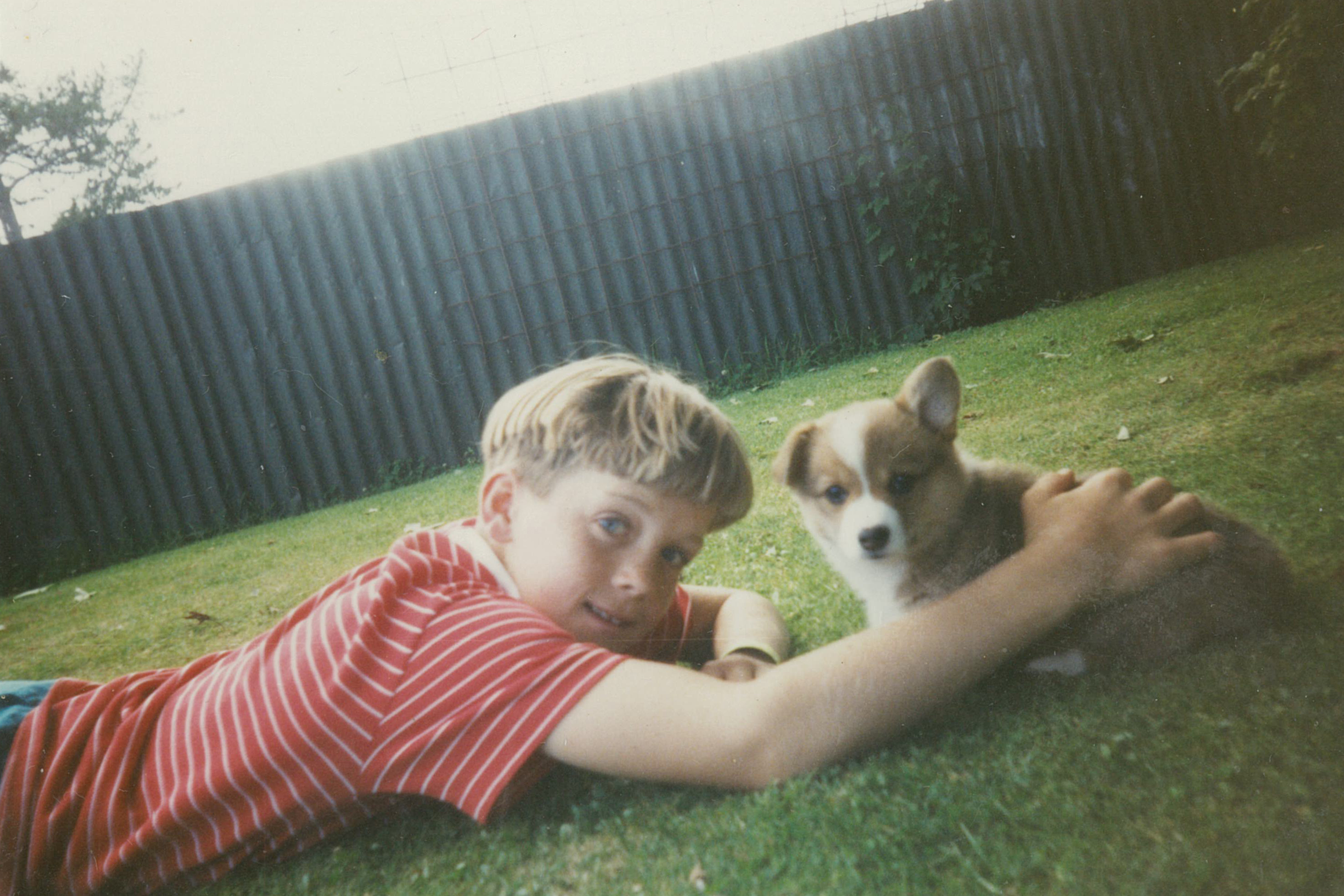 image-8