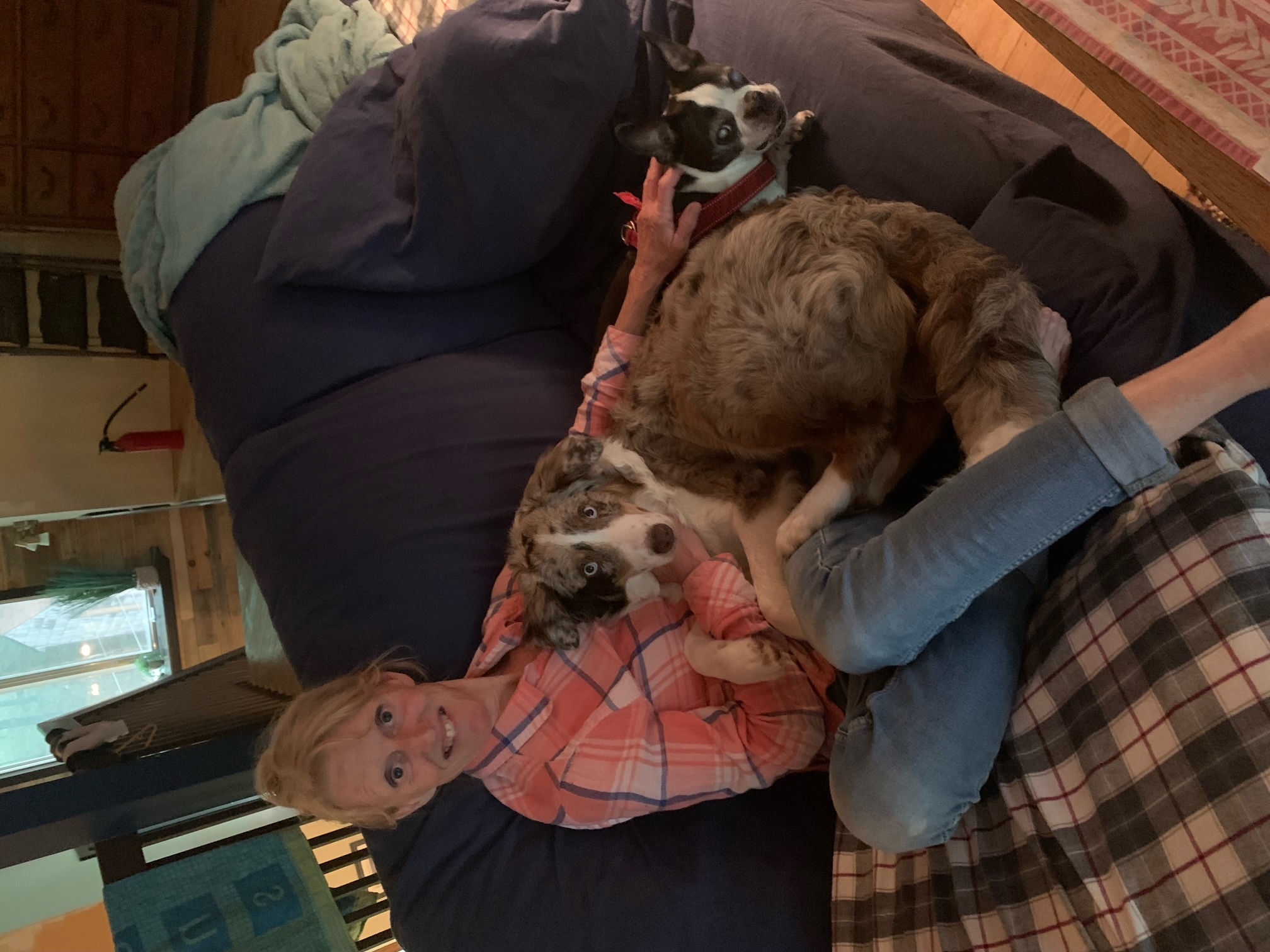 image-7