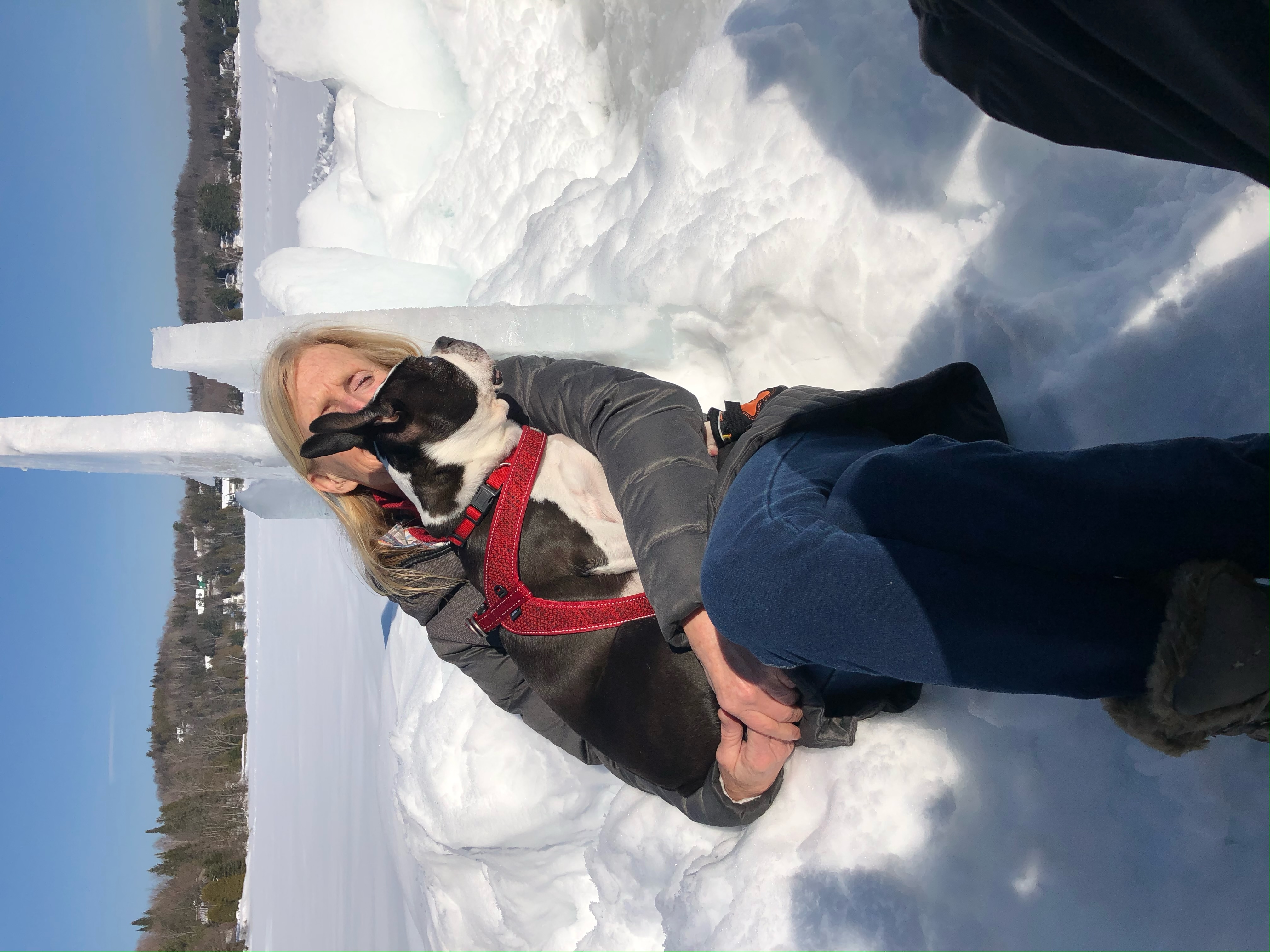 image-6
