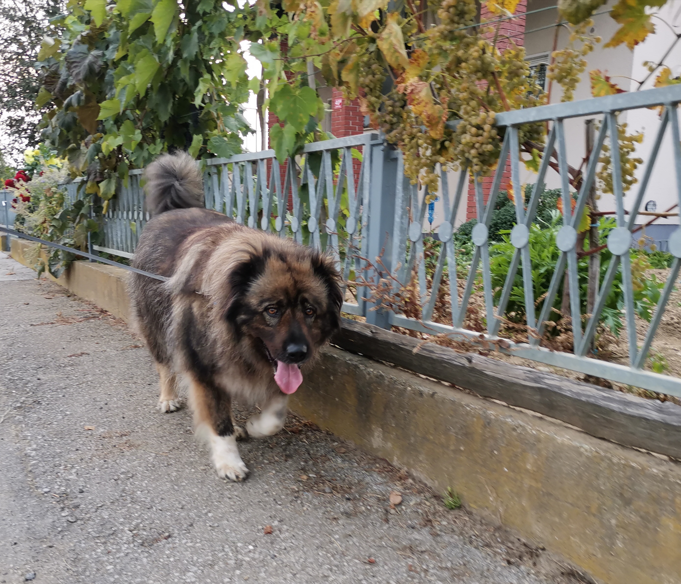 image-9