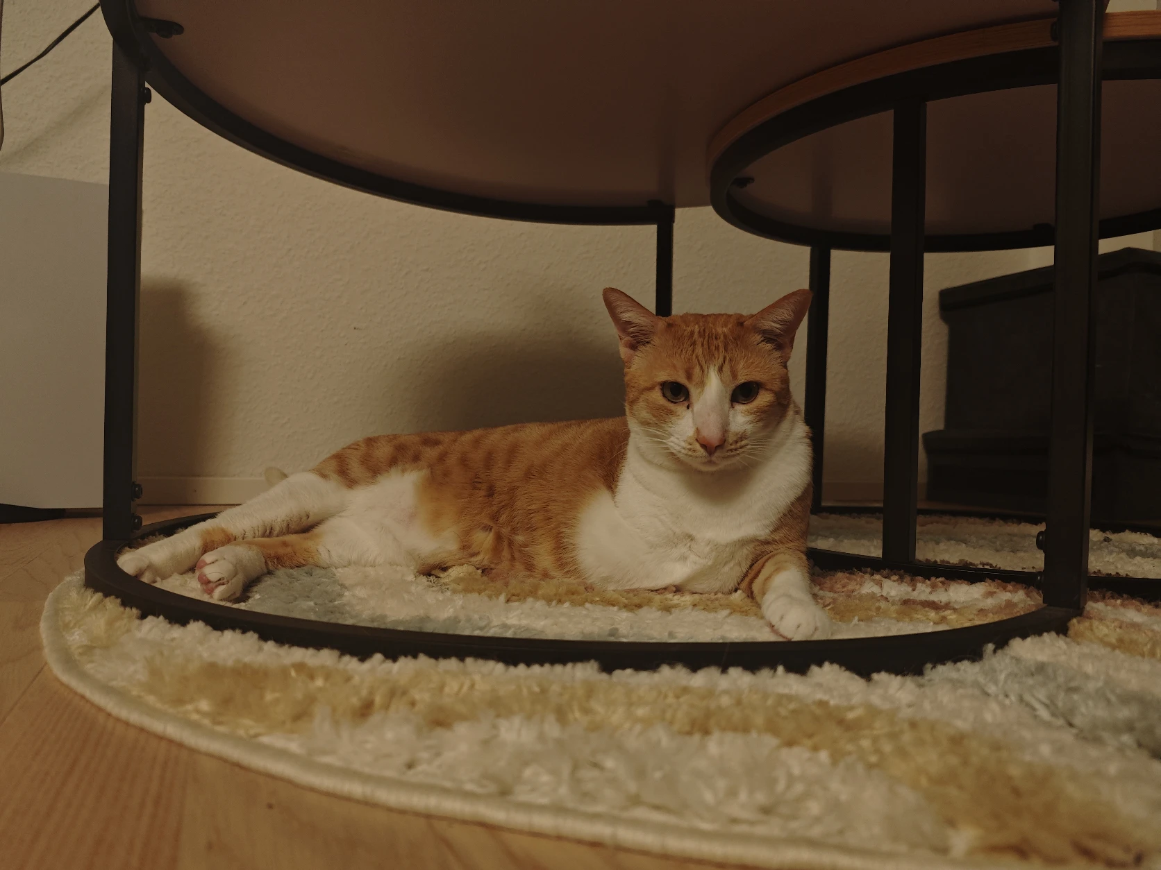 image-17