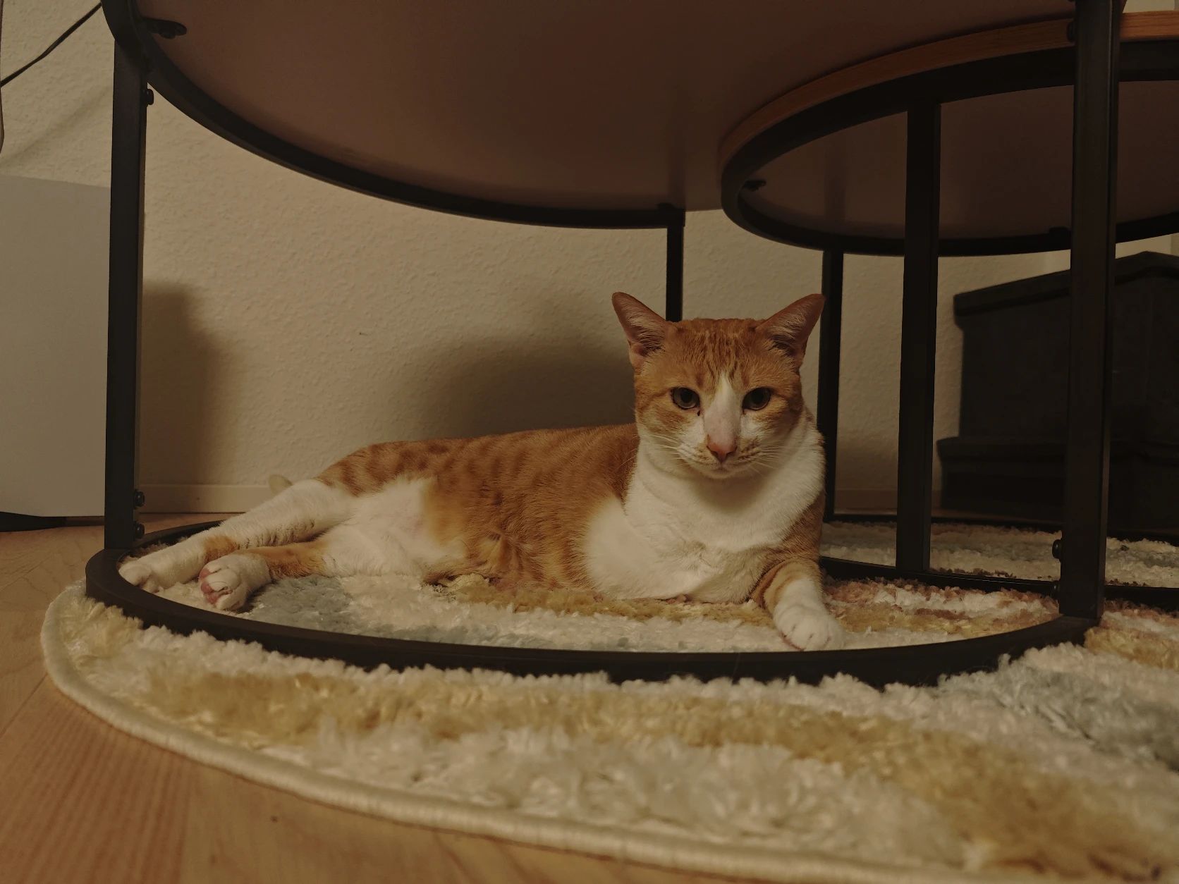 image-17