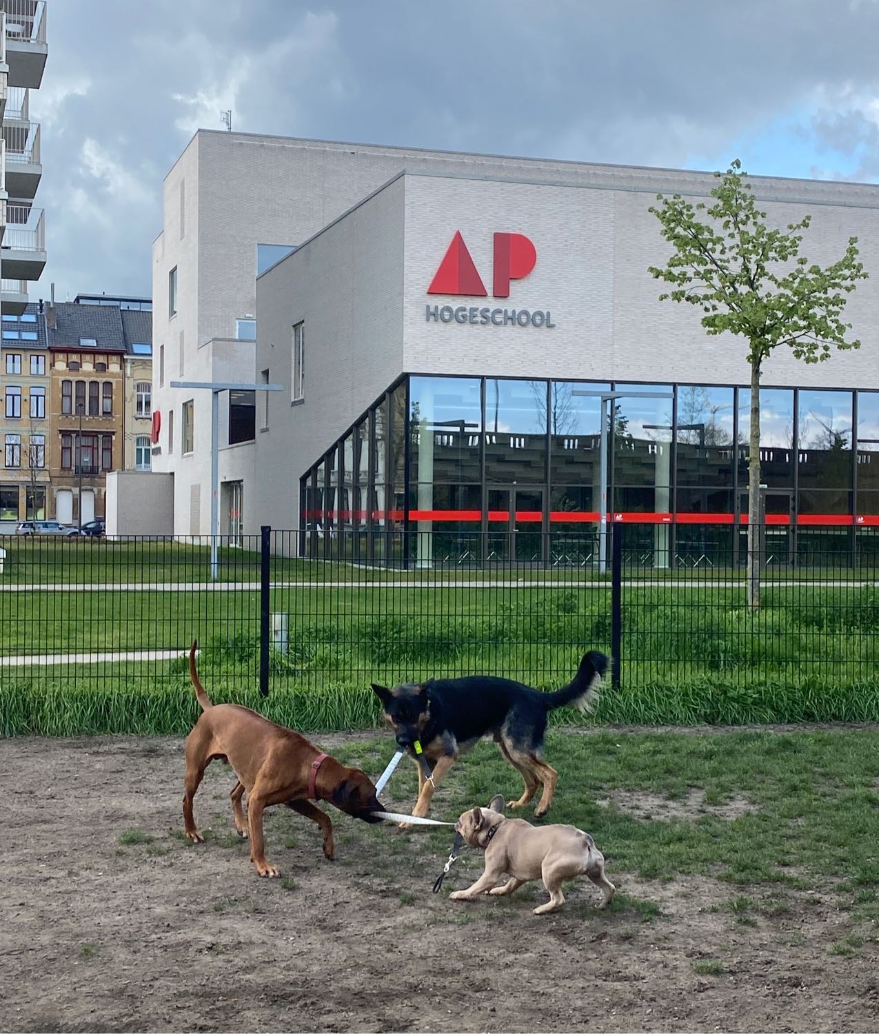image-7
