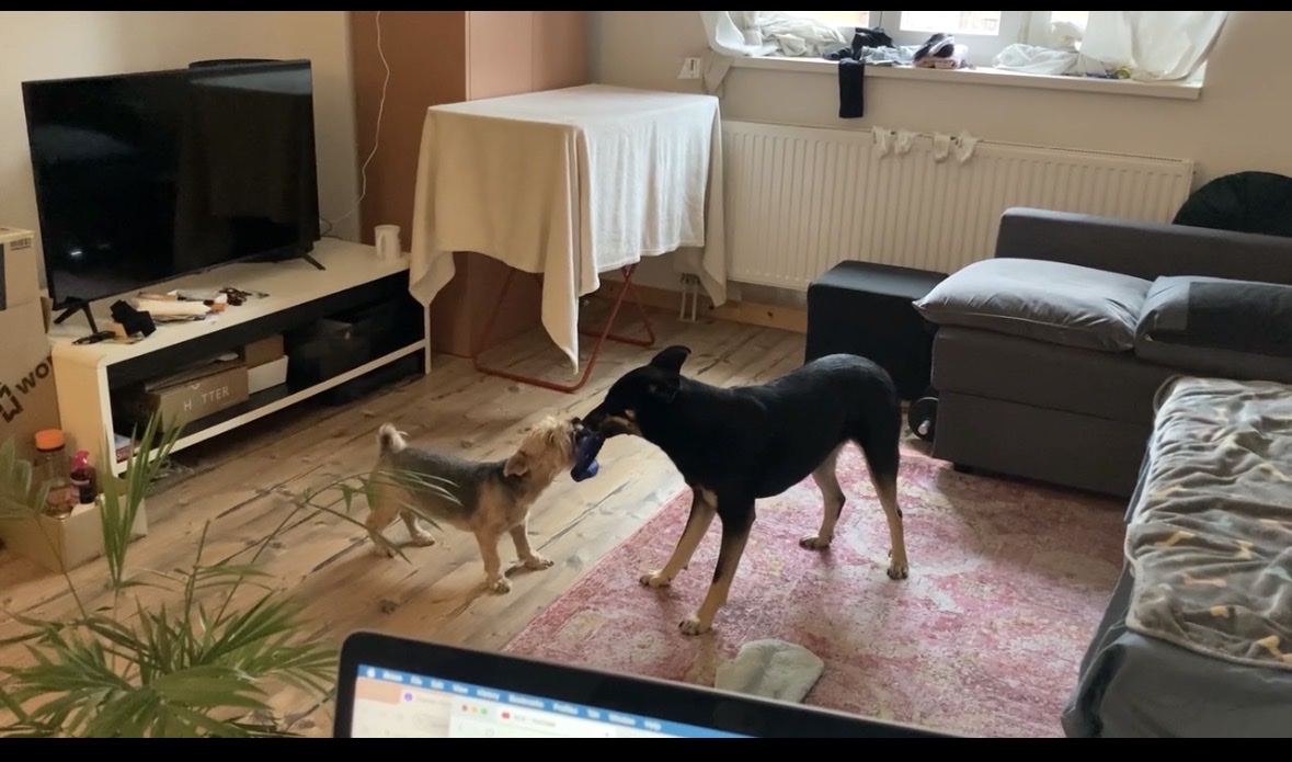 image-9