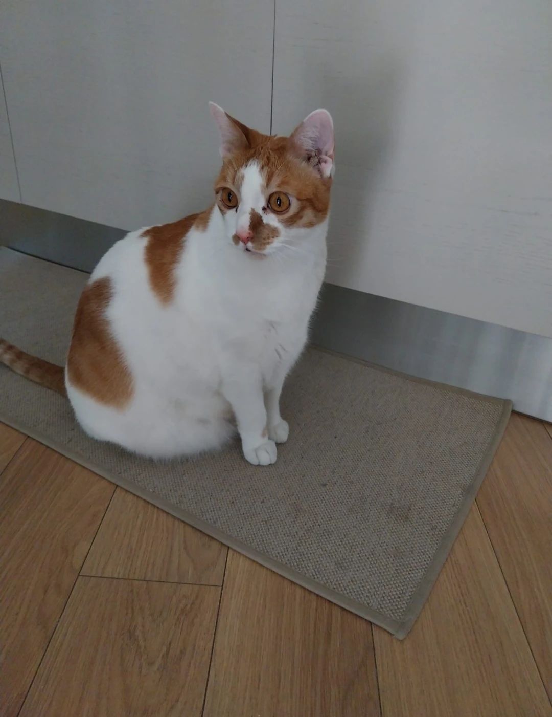 image-17
