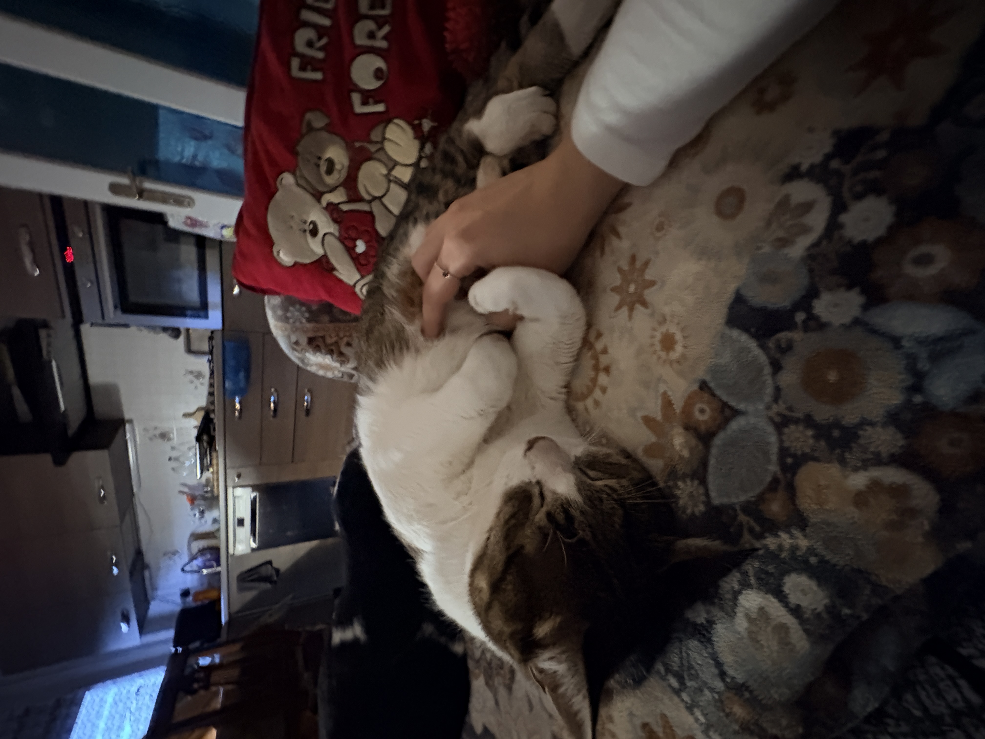 image-9