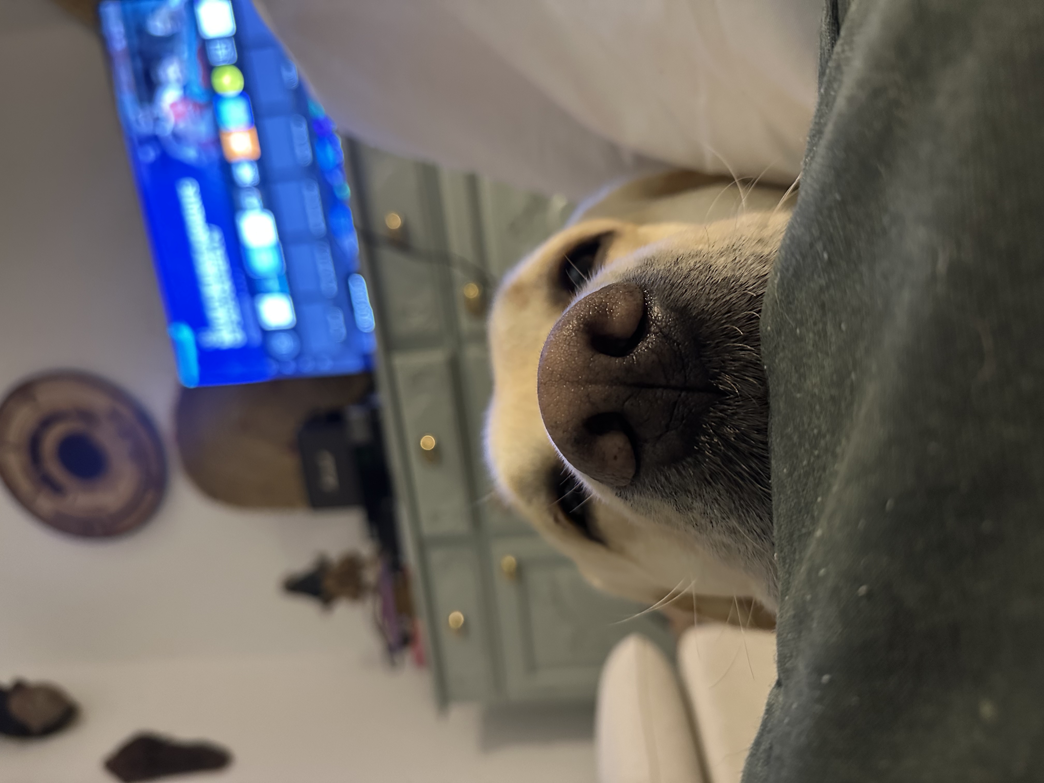 image-8