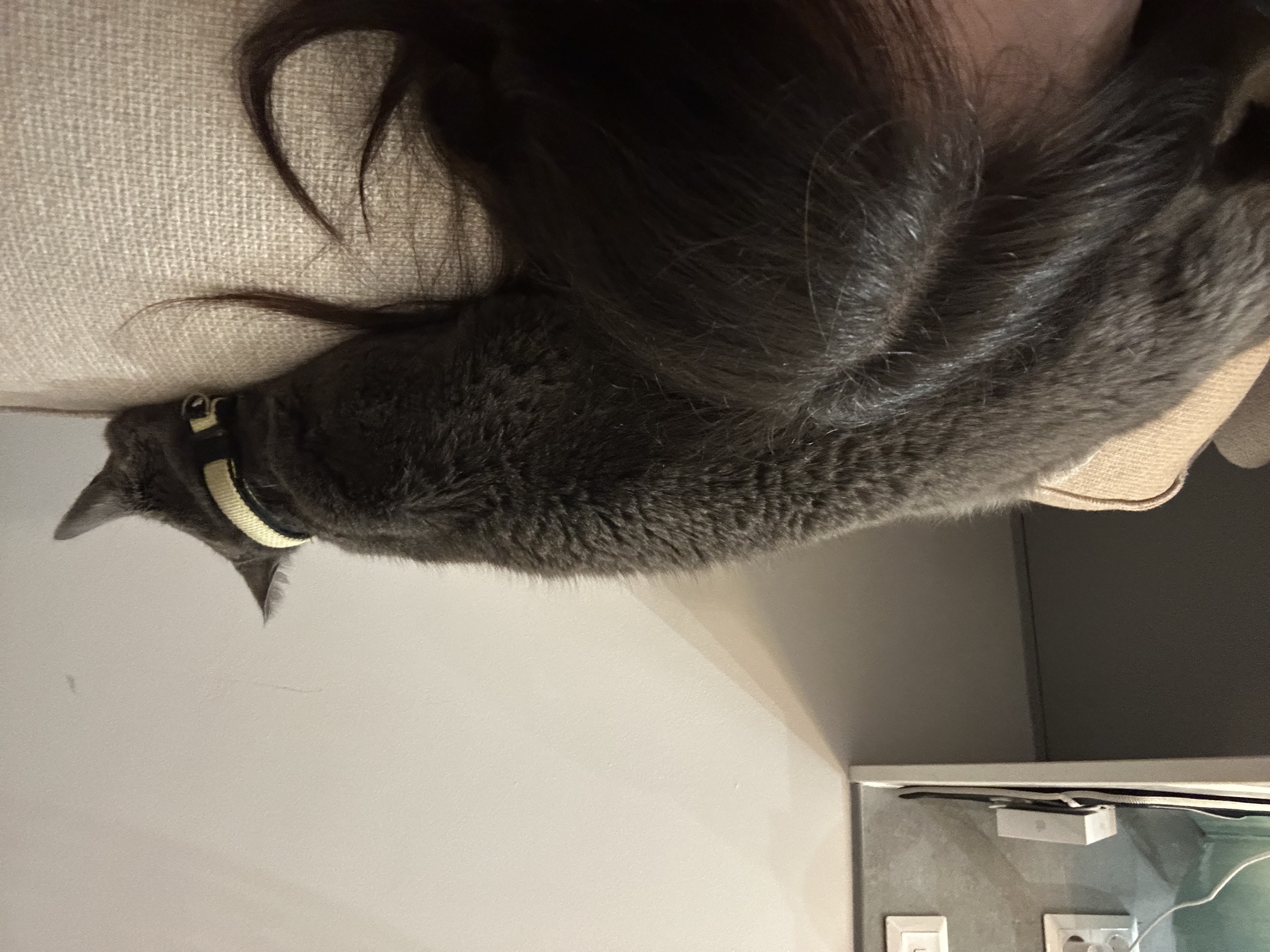 image-12