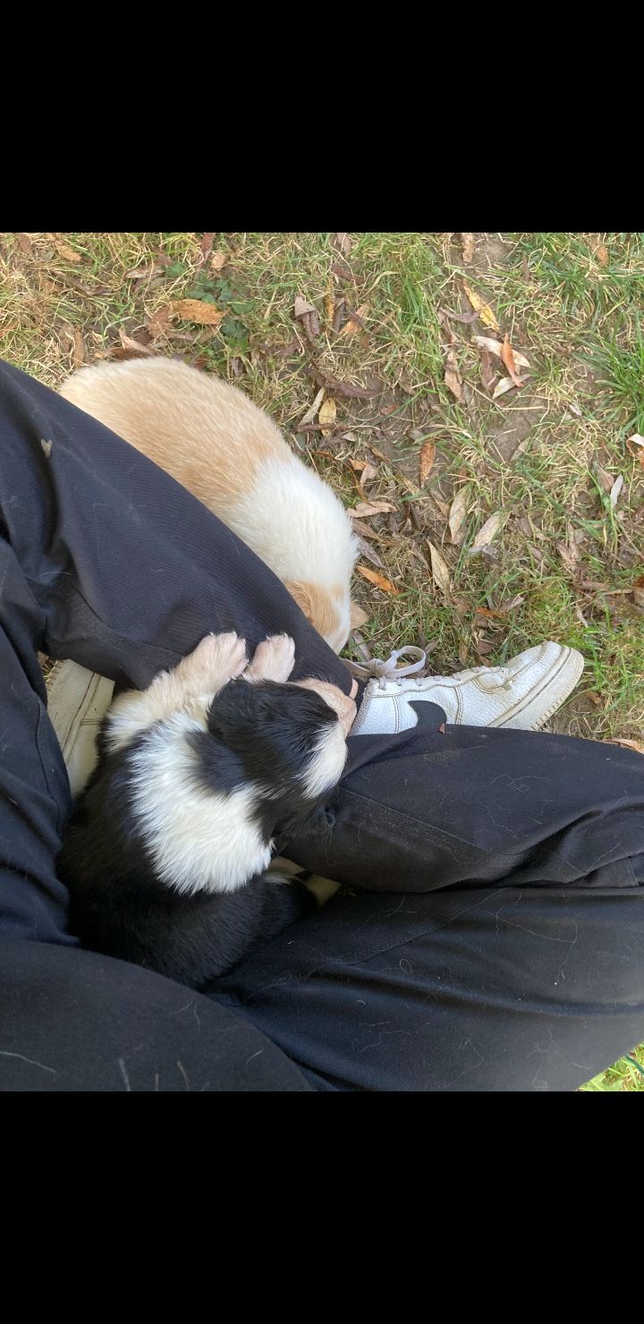 image-8