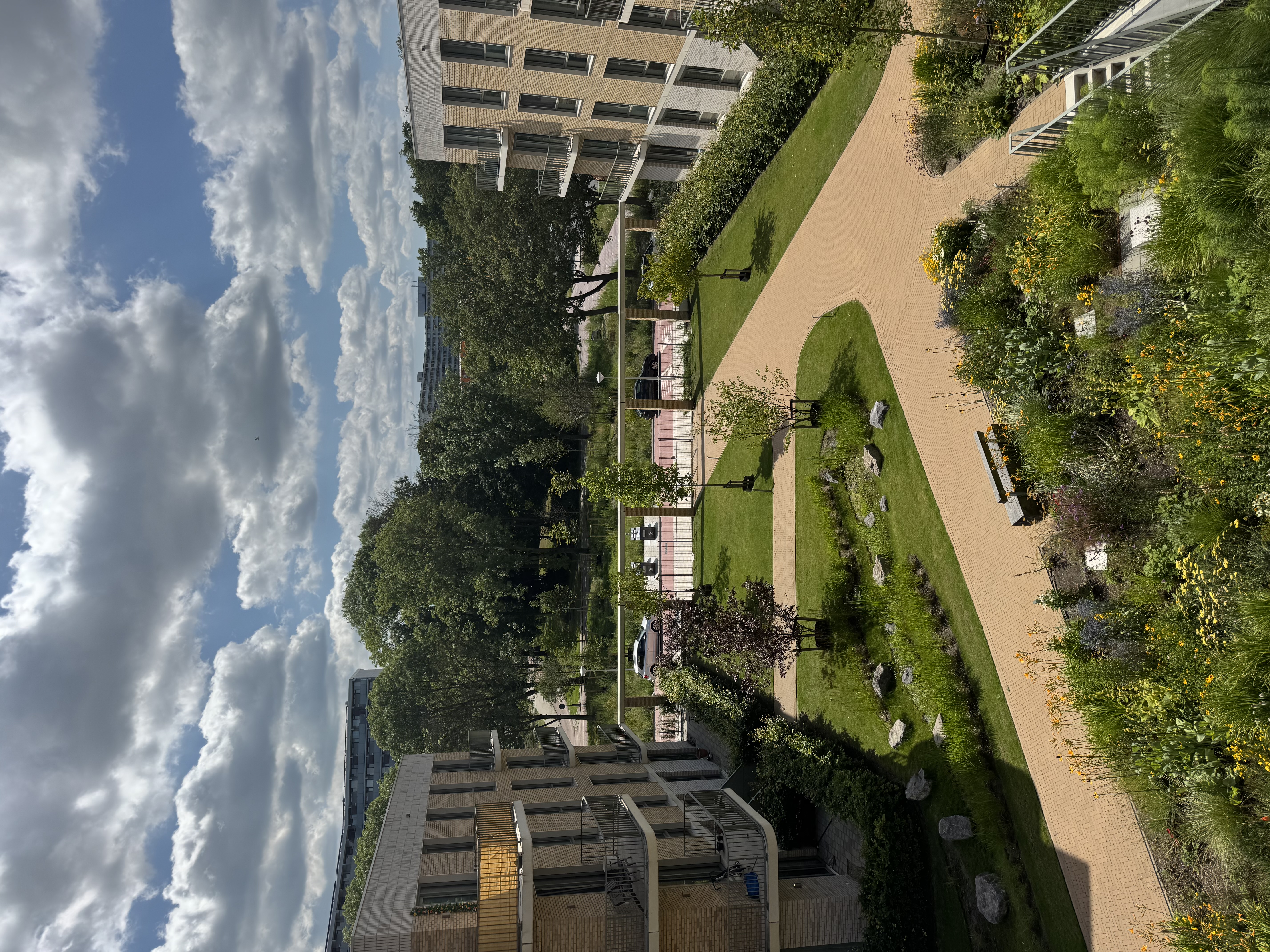 image-21