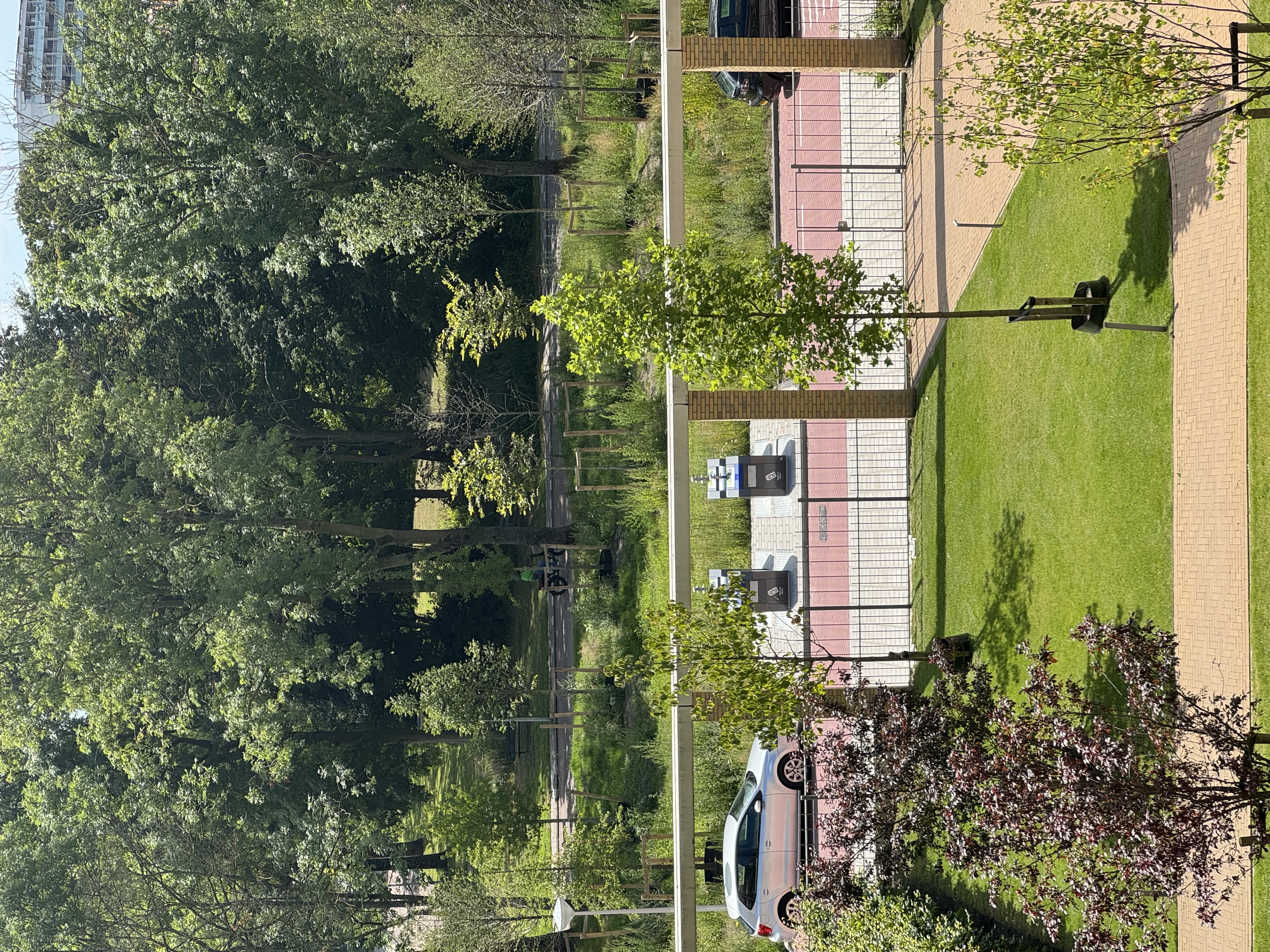 image-20