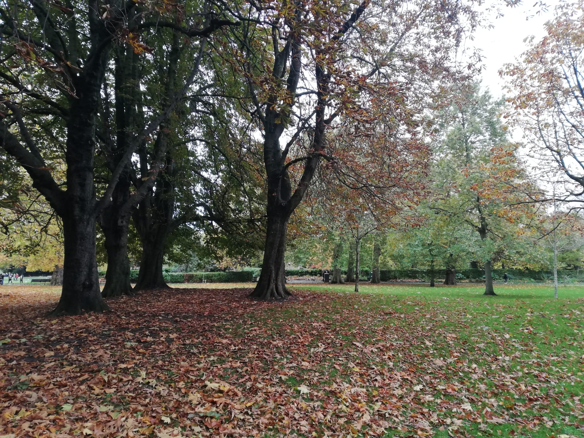 image-6