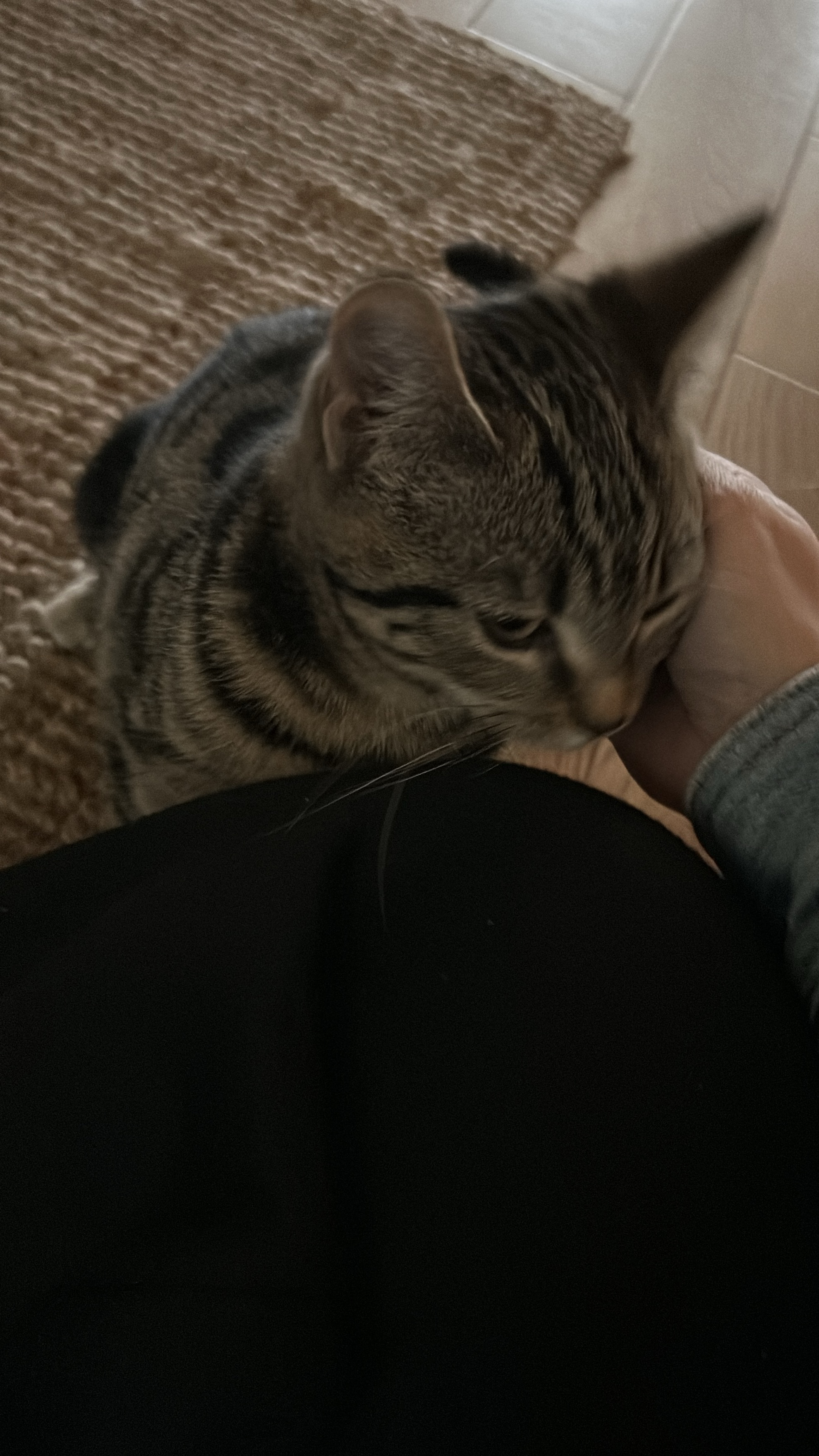 image-8