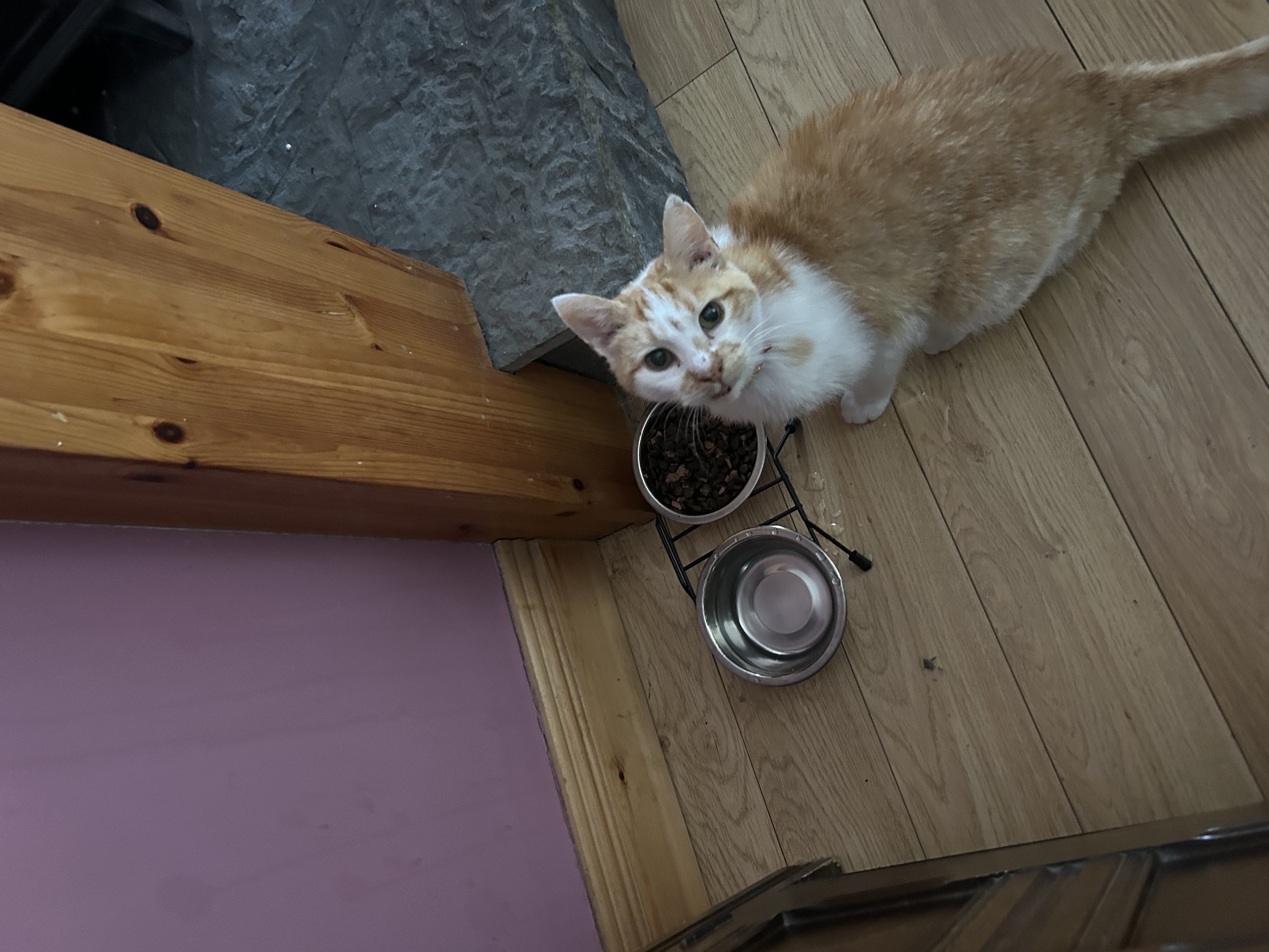 image-13