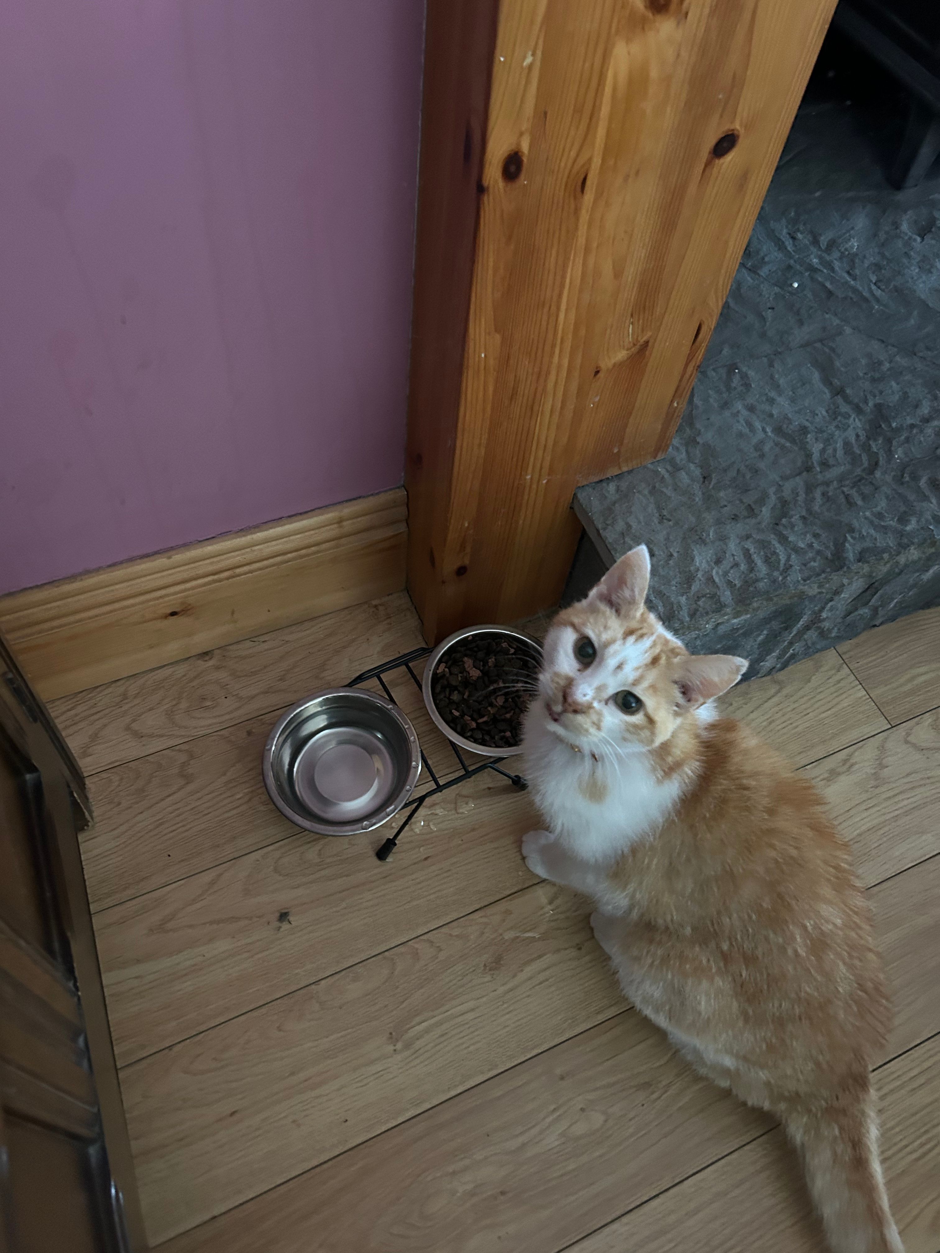 image-13