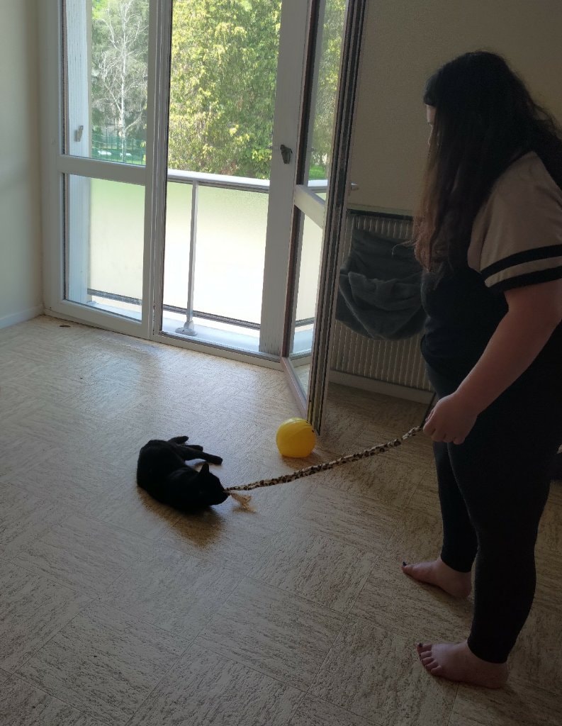 image-8