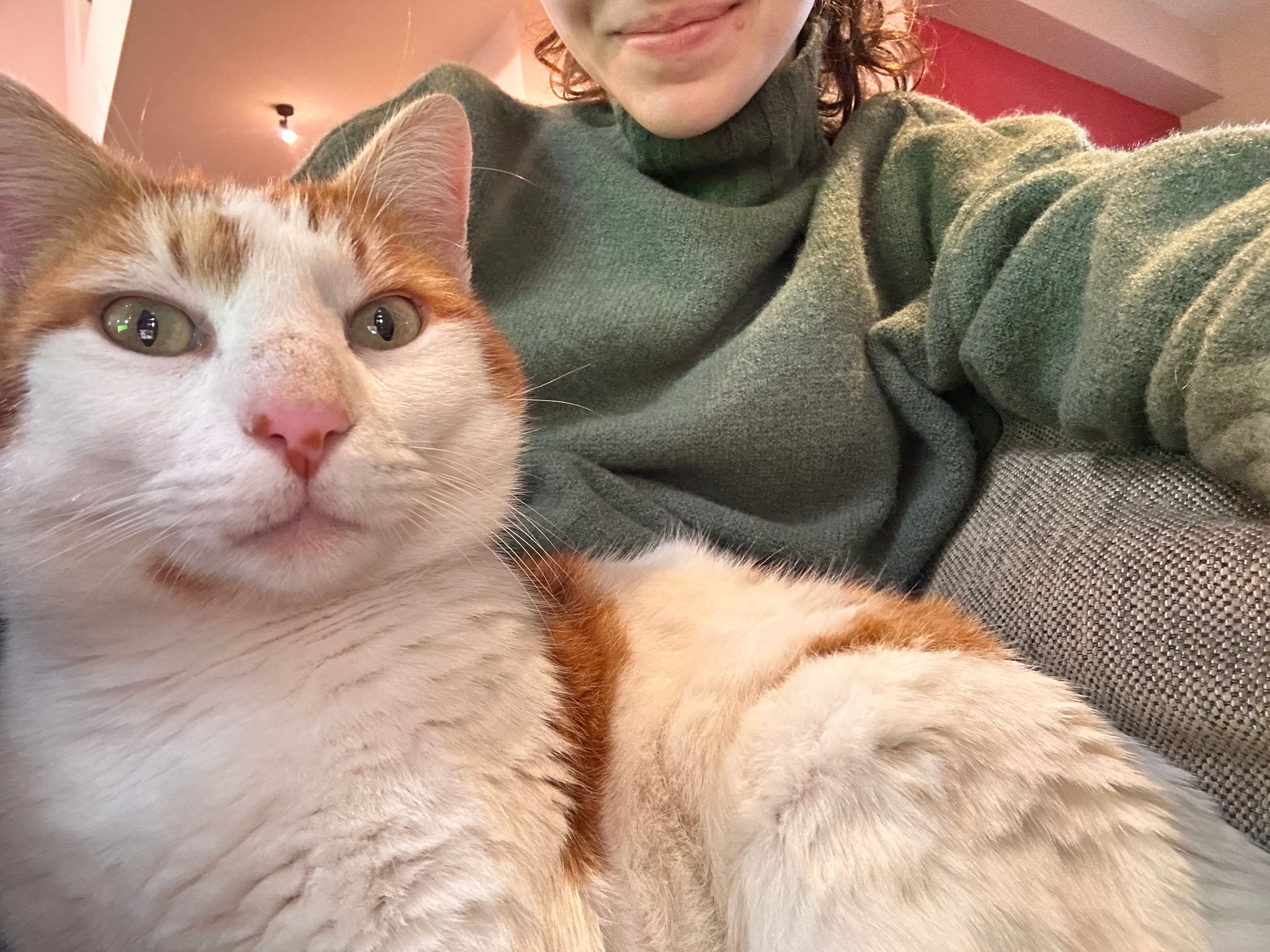 image-6