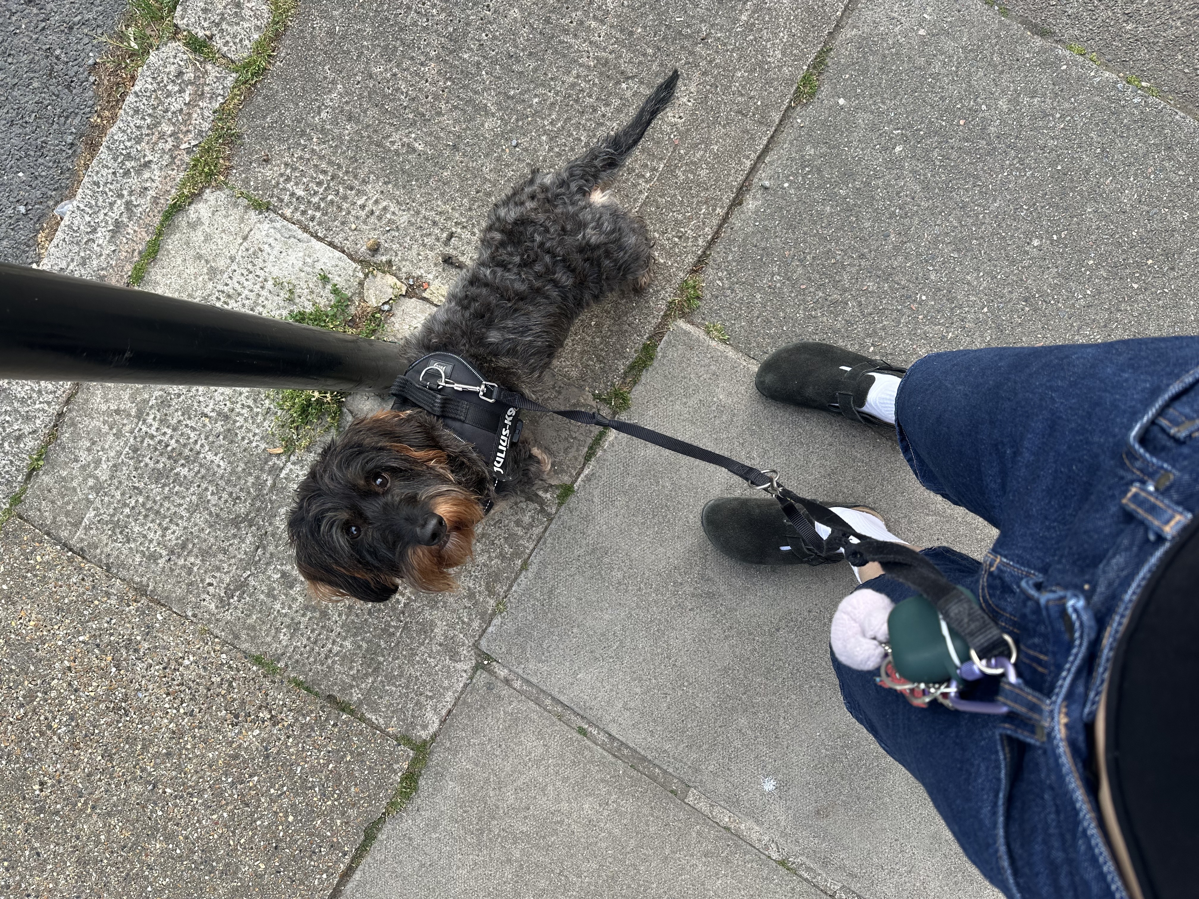 image-8