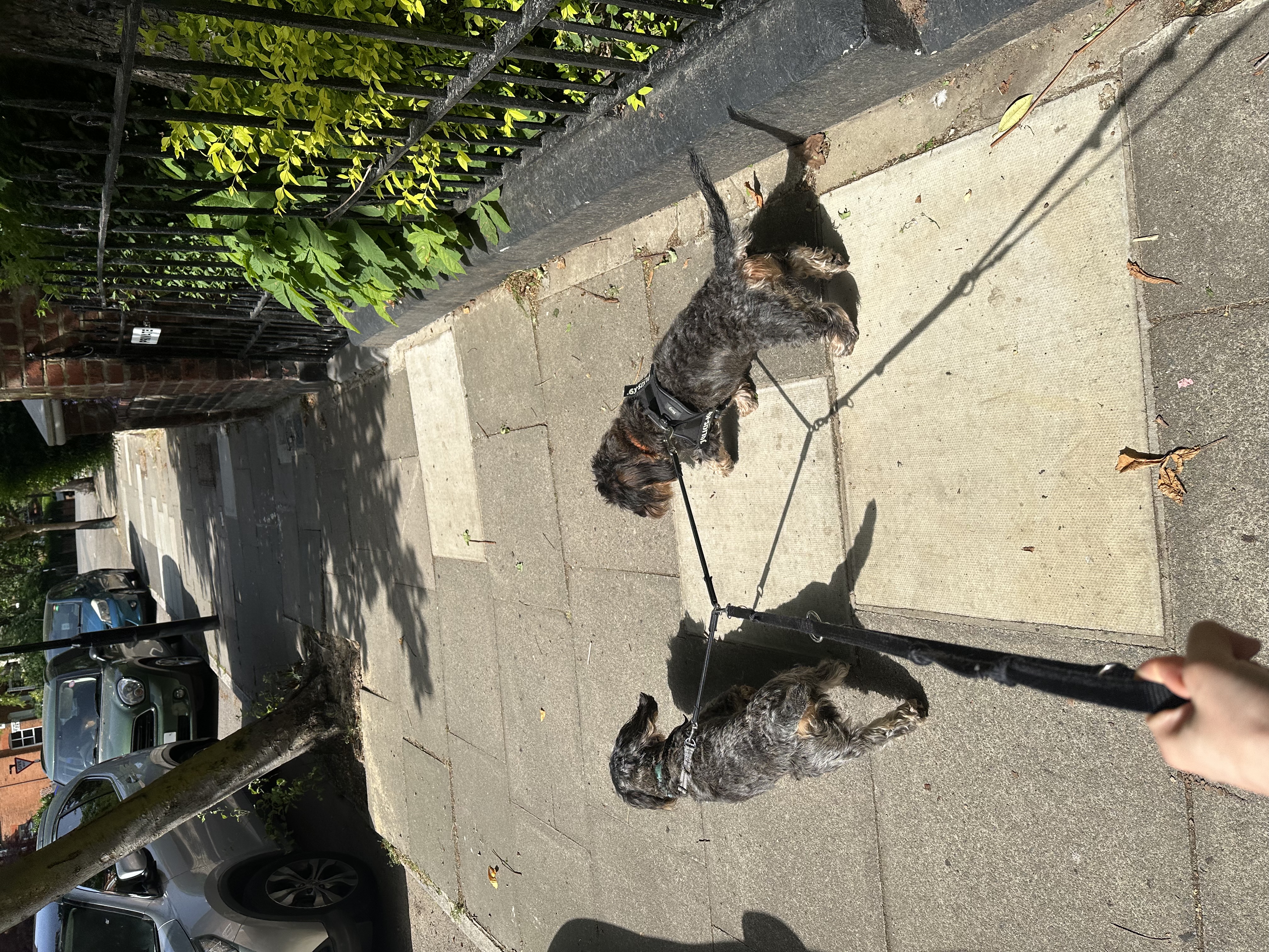 image-11