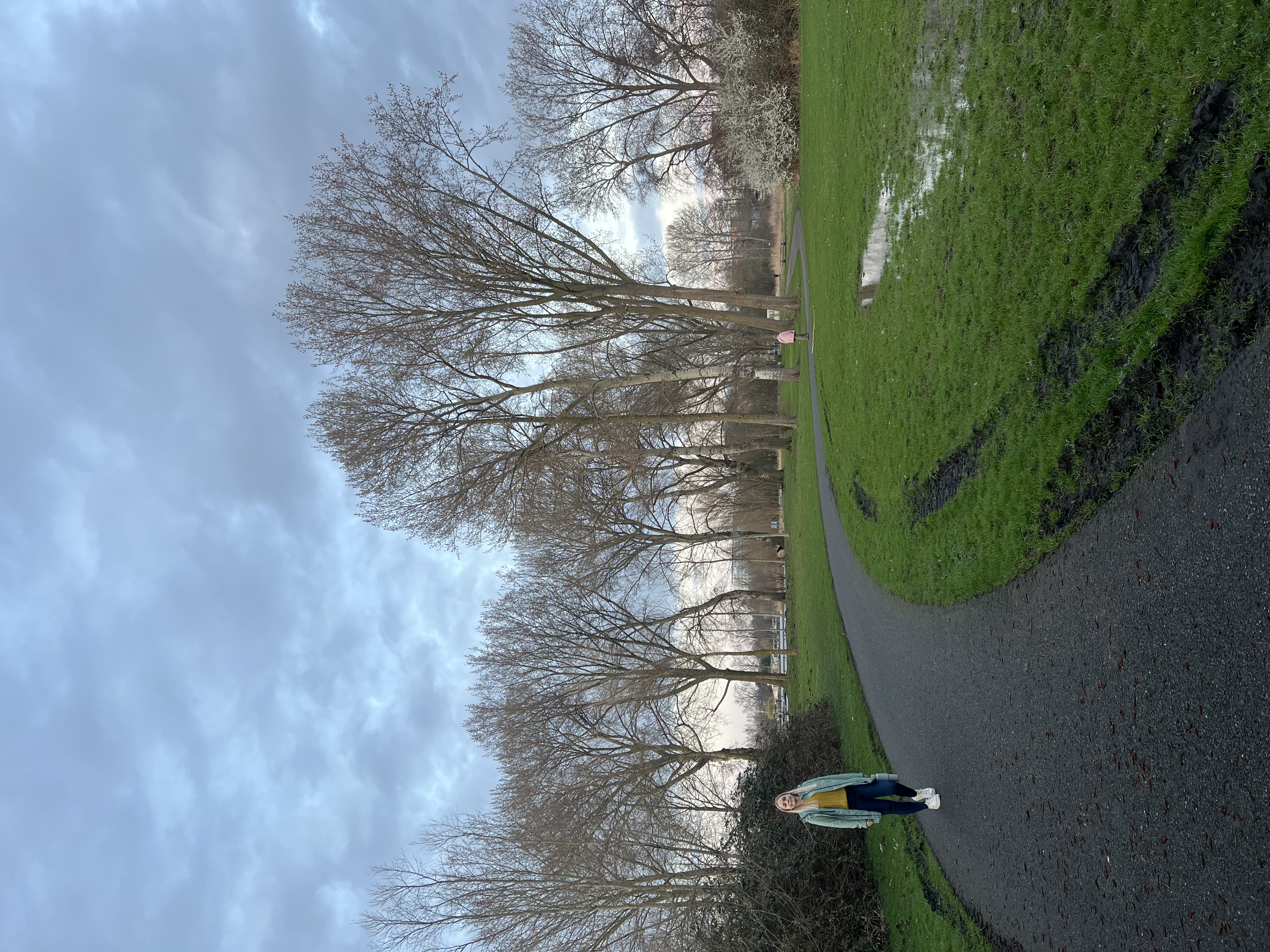 image-15